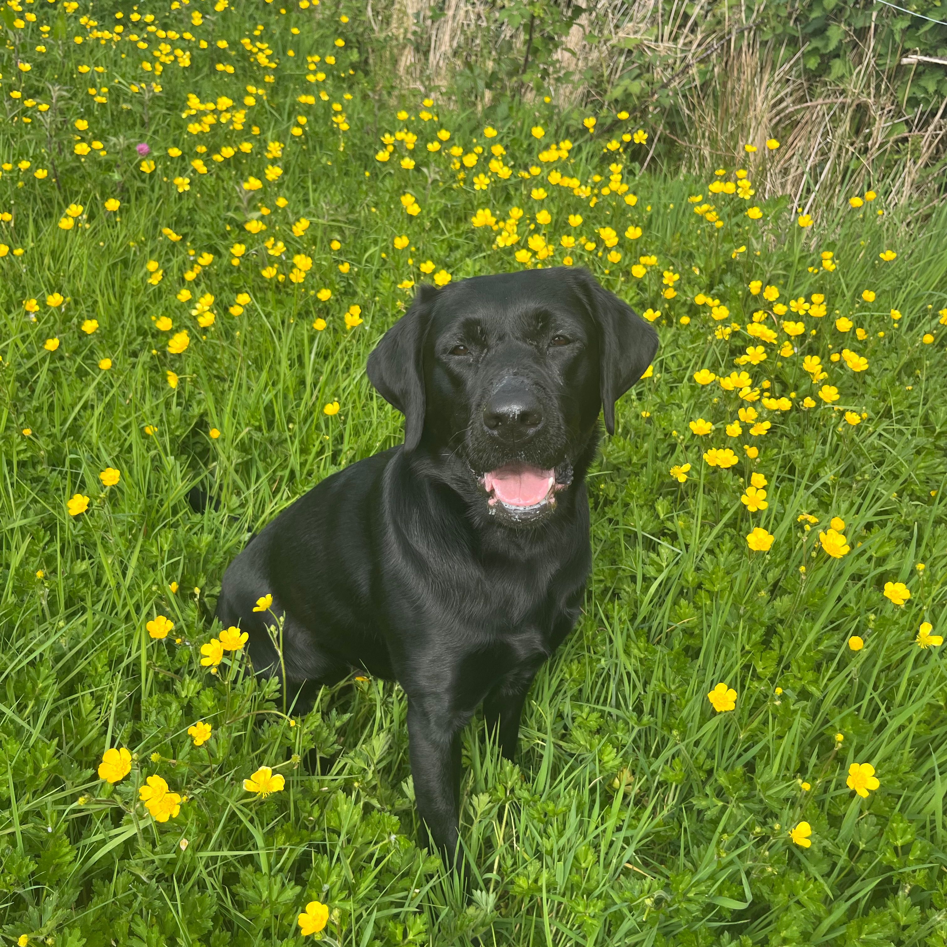 Luna
