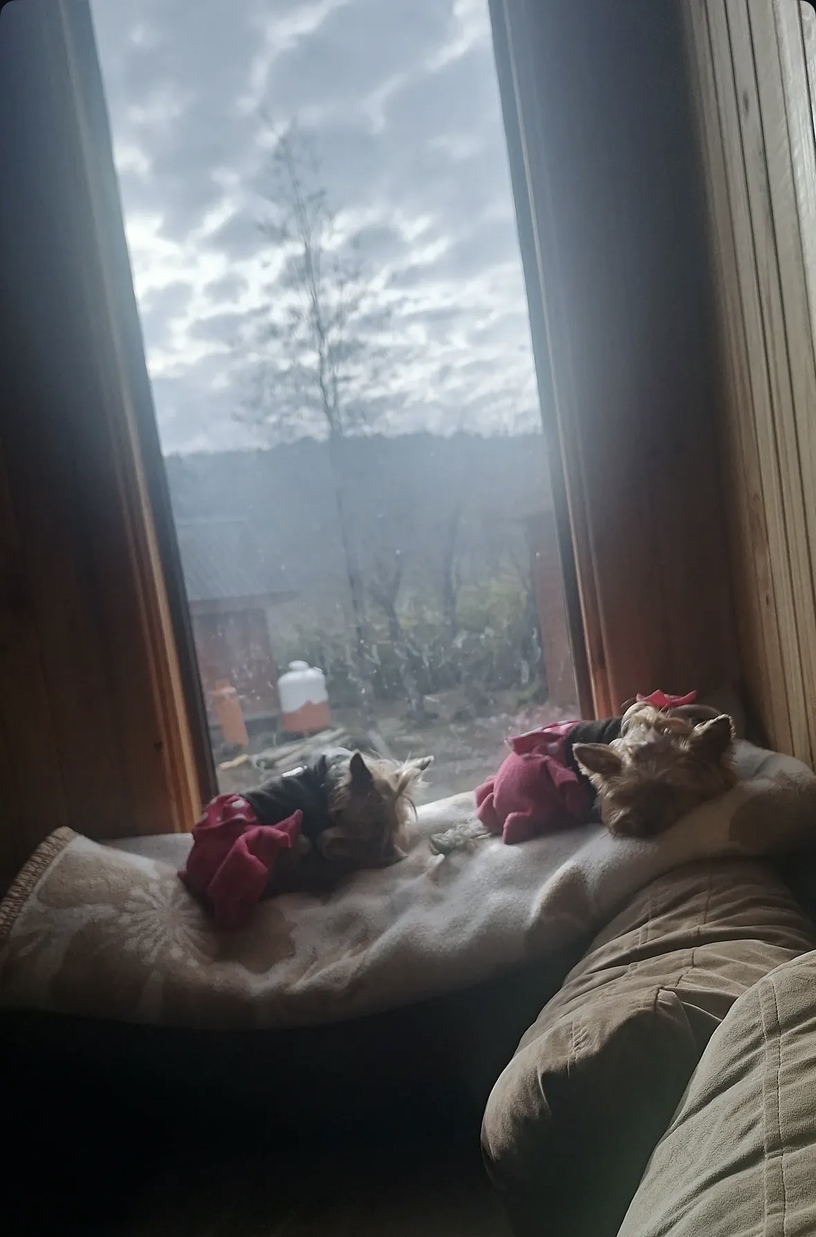 image-10