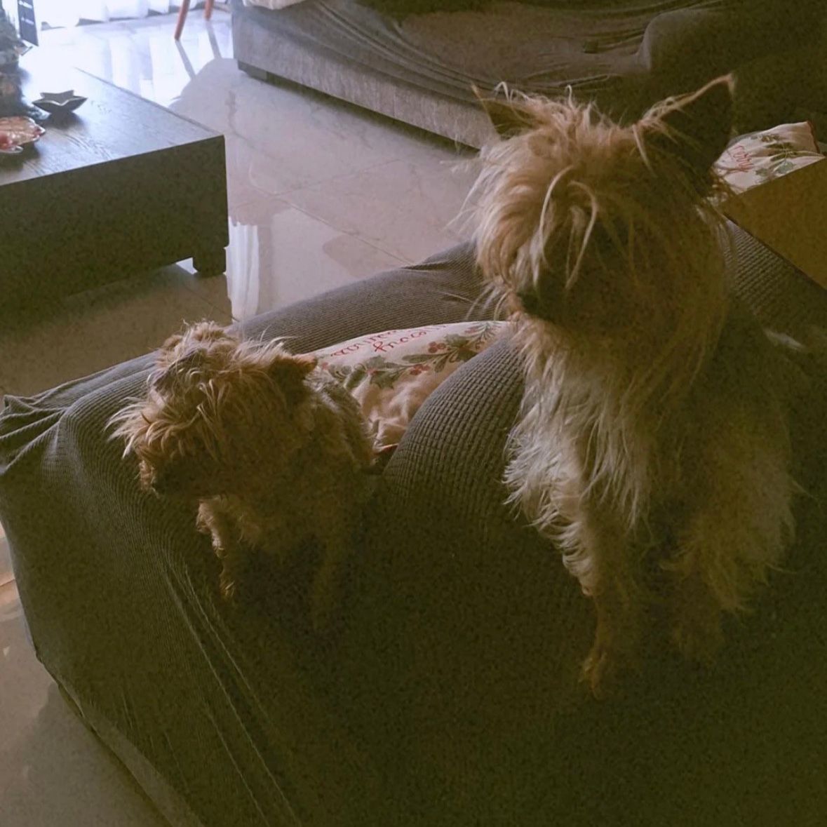 kiki and josefa