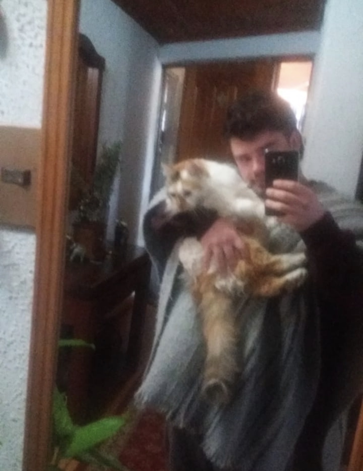 image-5