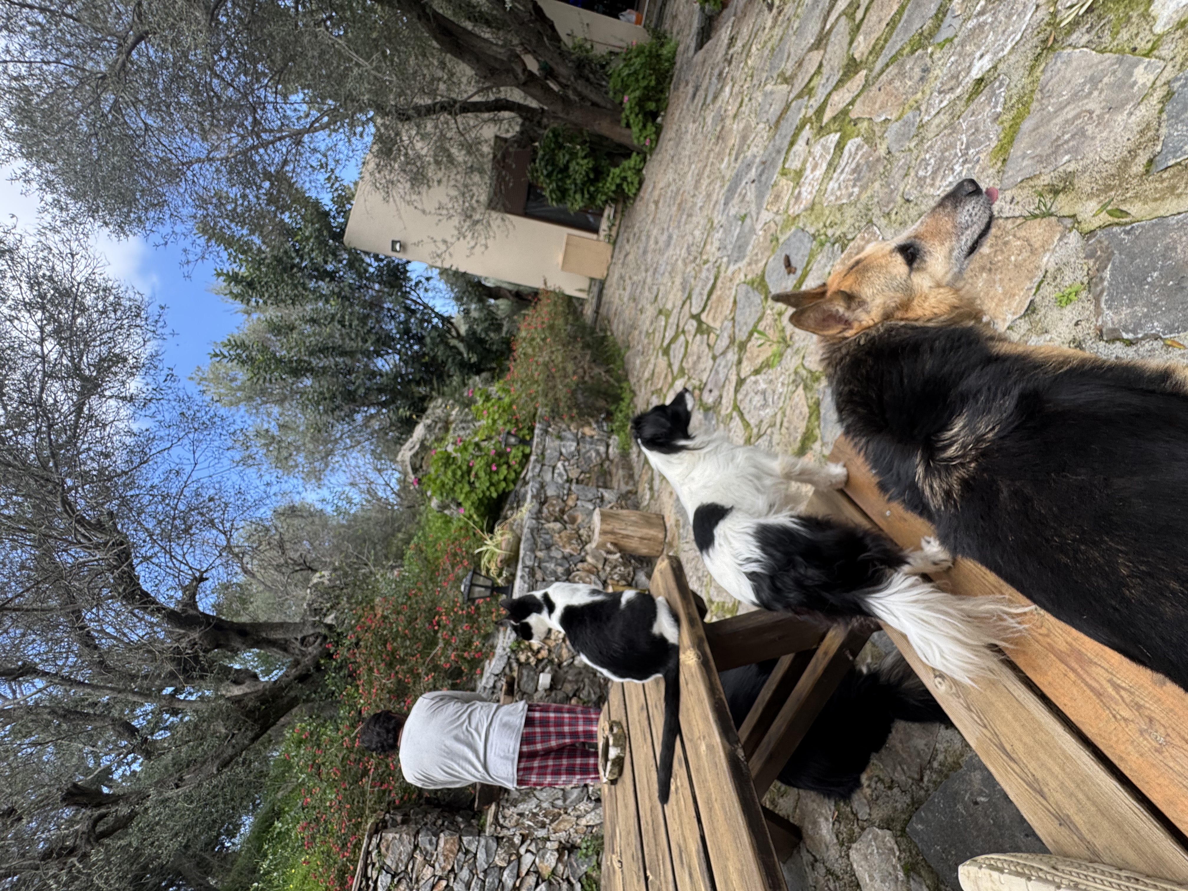 image-5