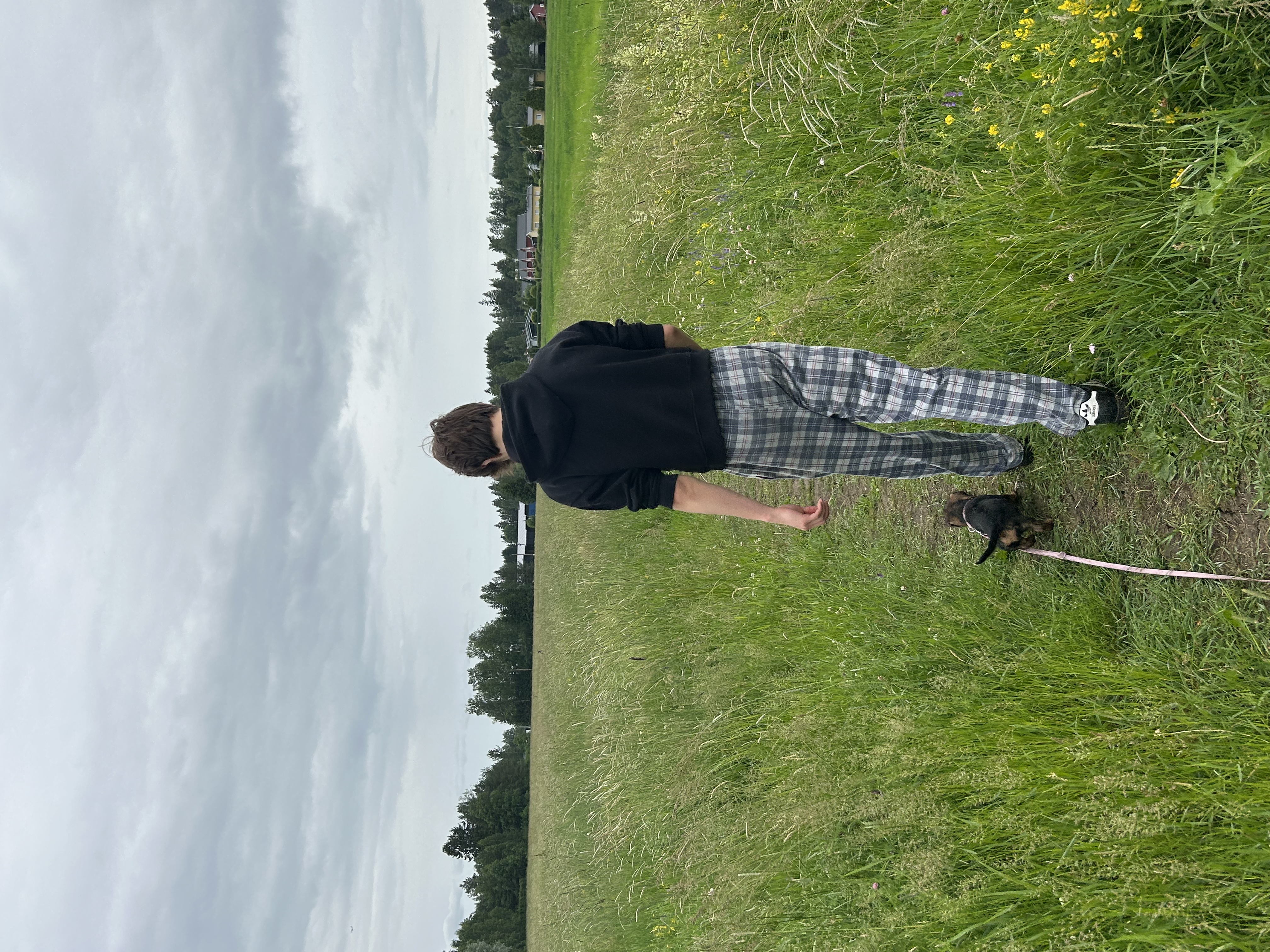 image-7