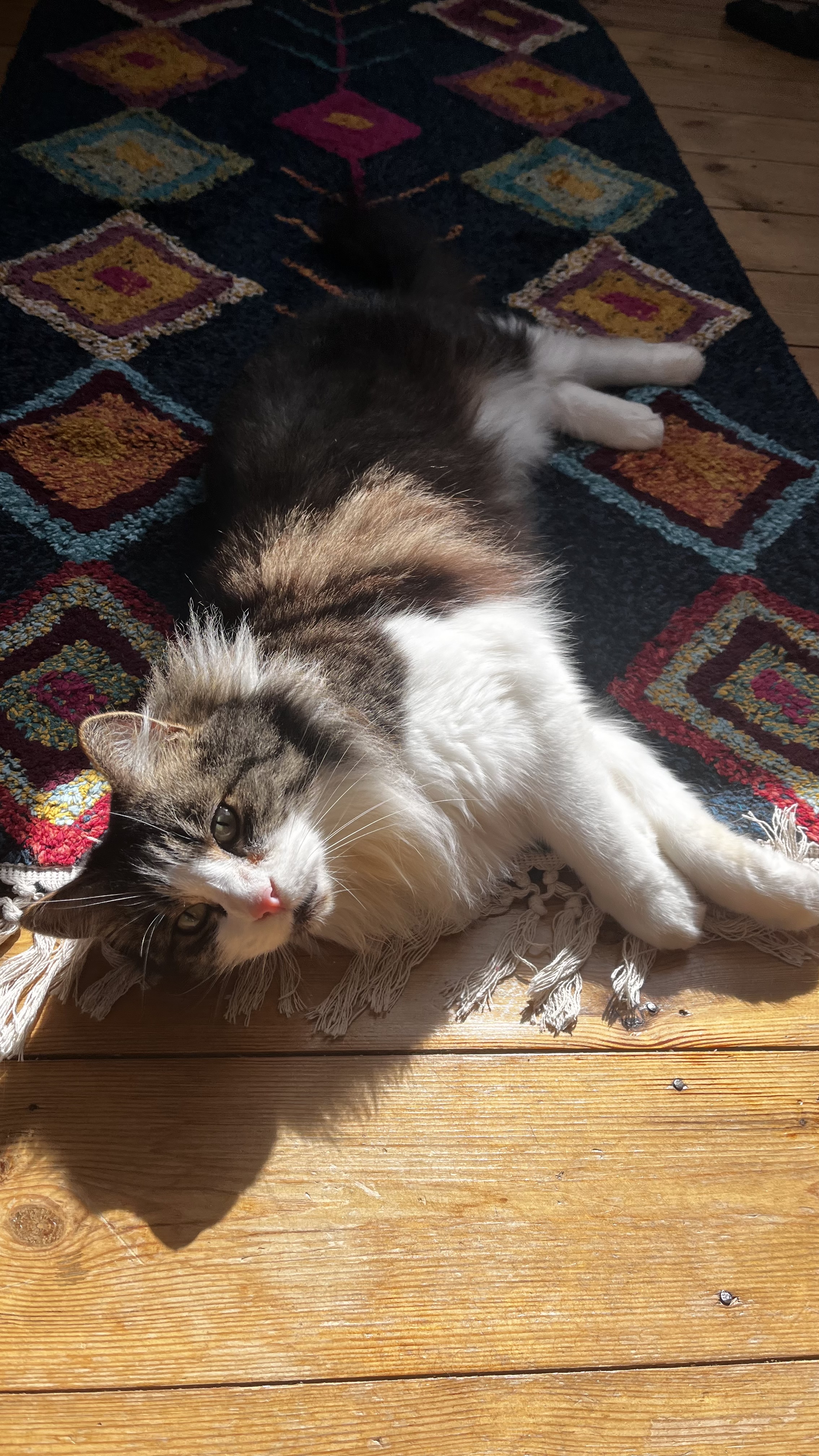 image-6