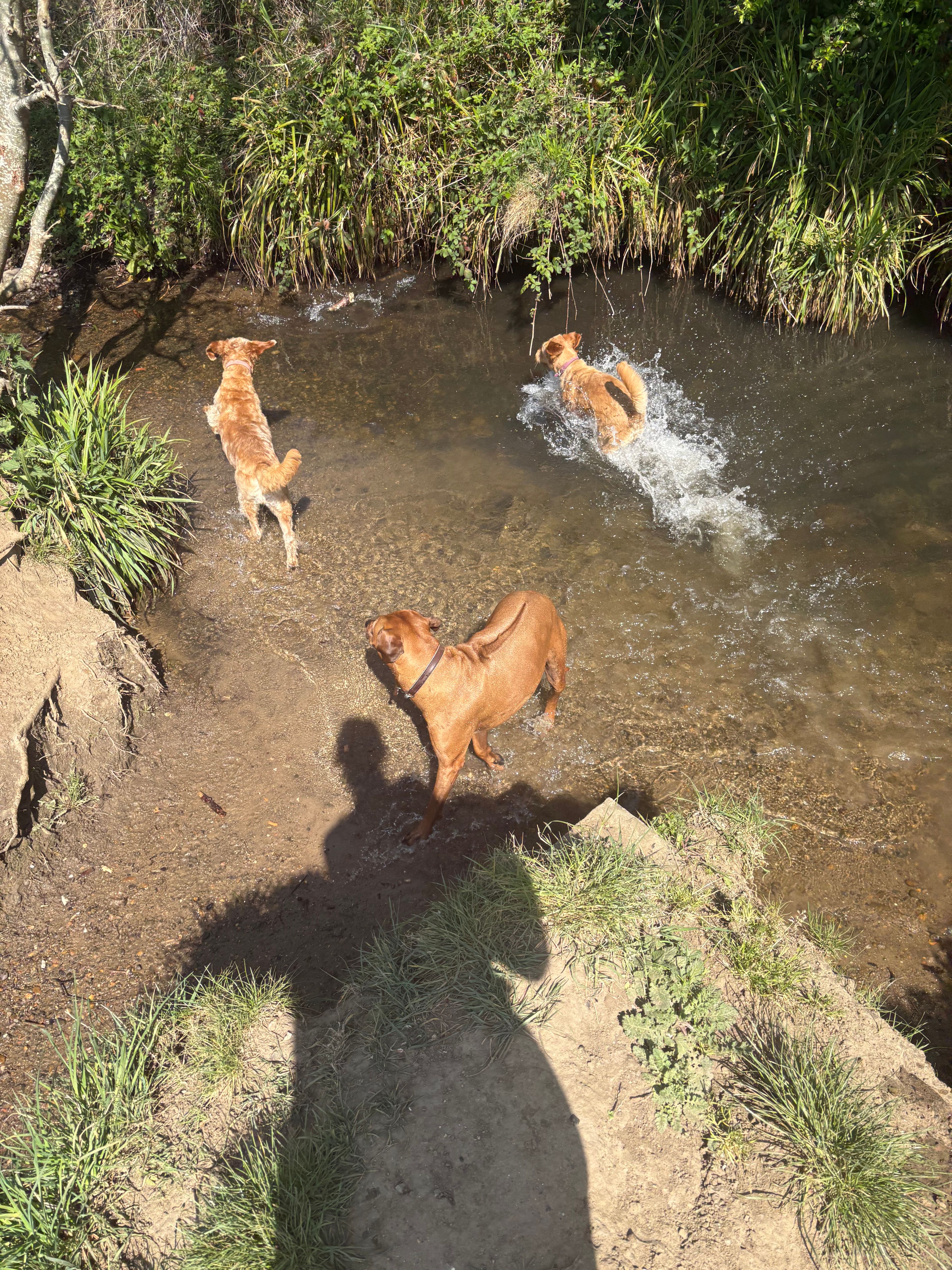image-5