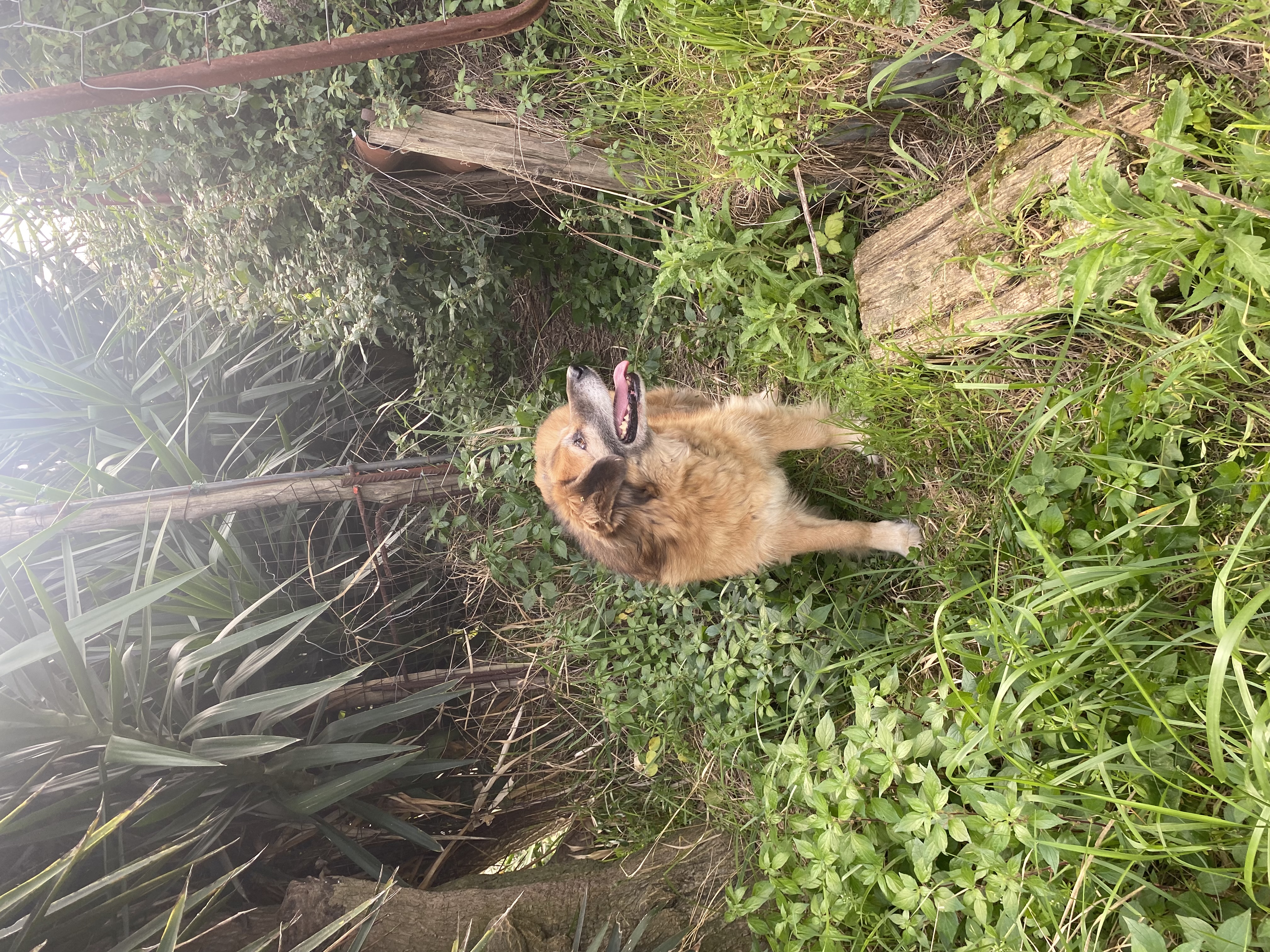 image-9