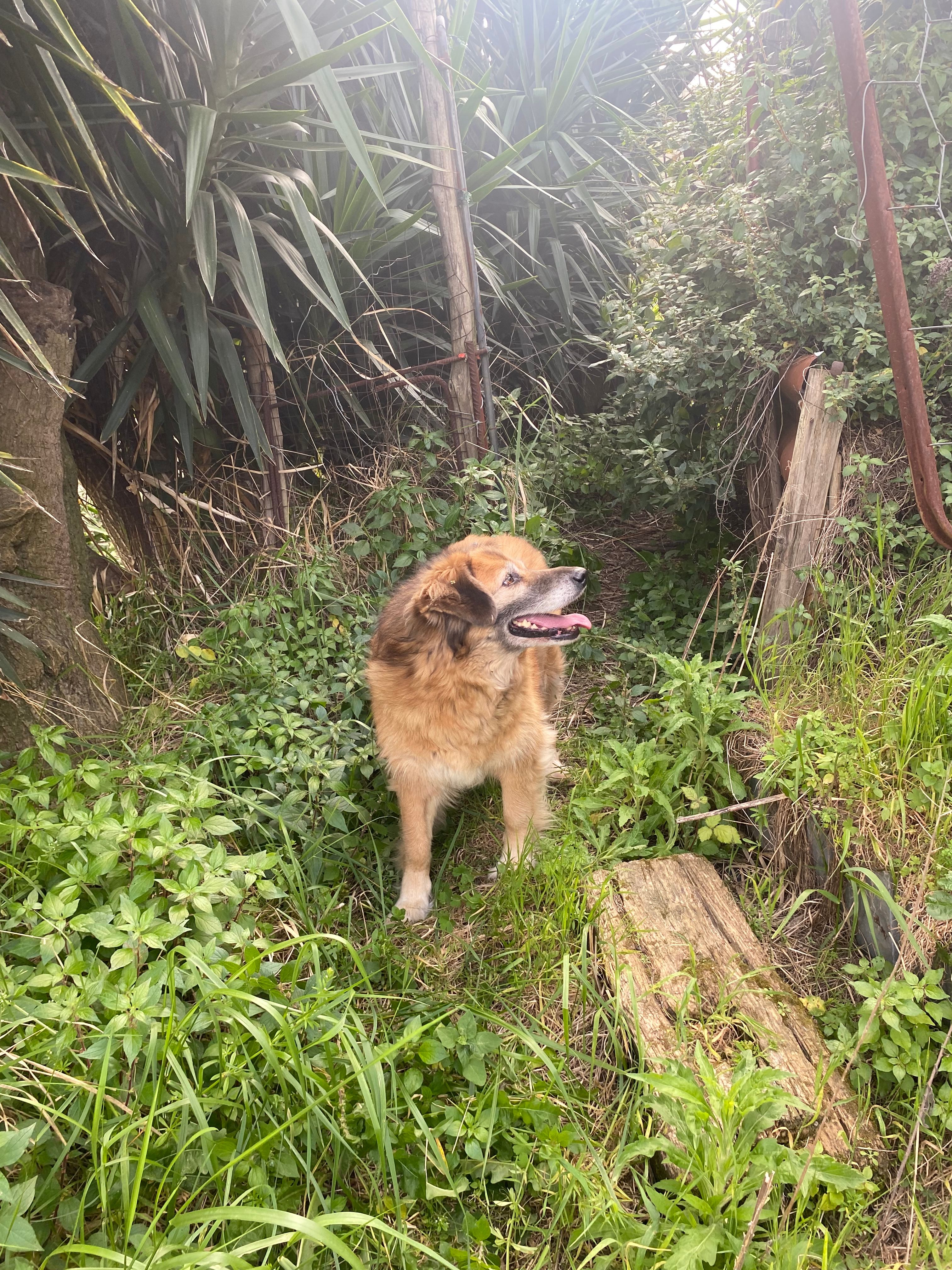 image-9