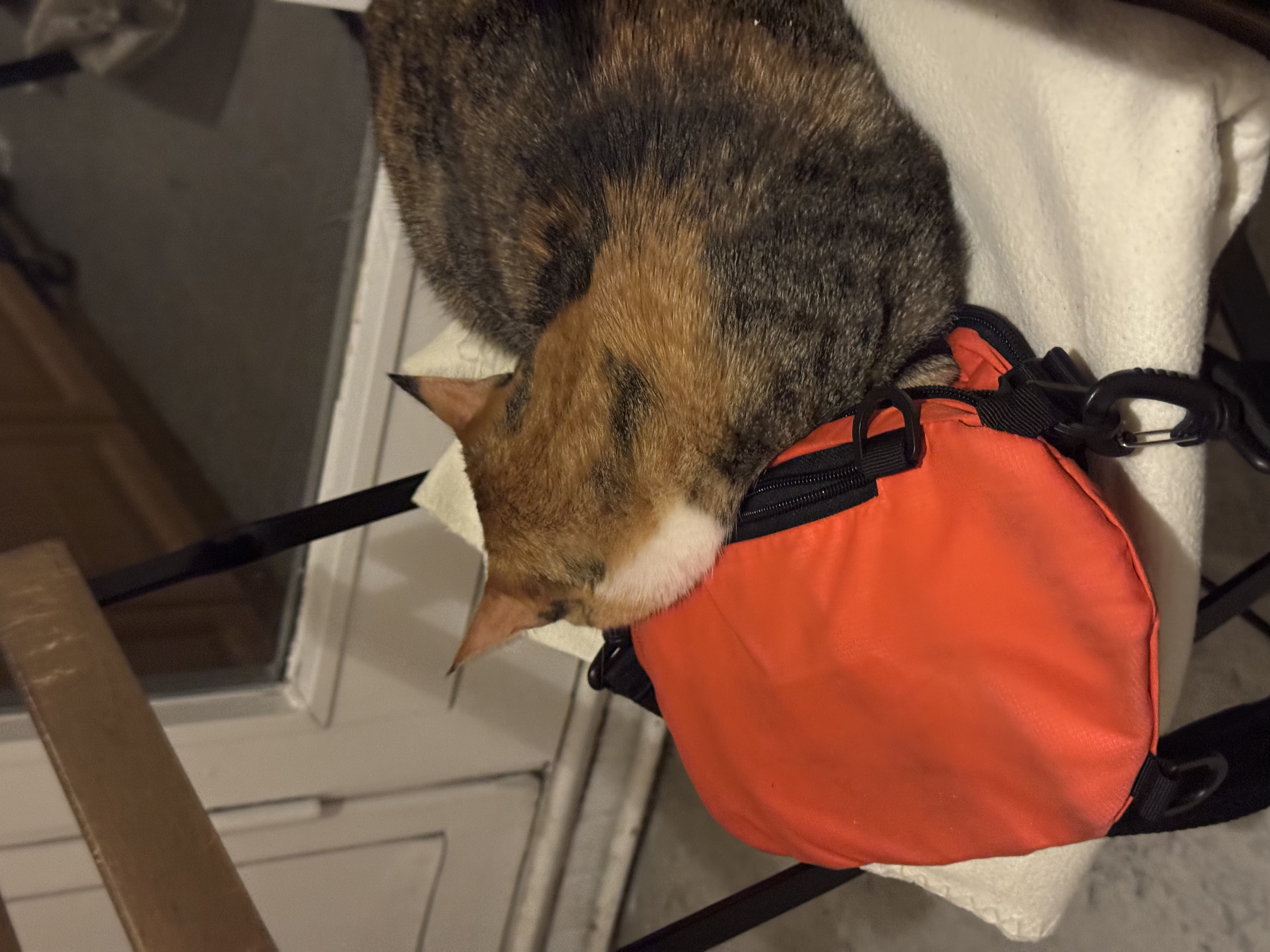 image-14