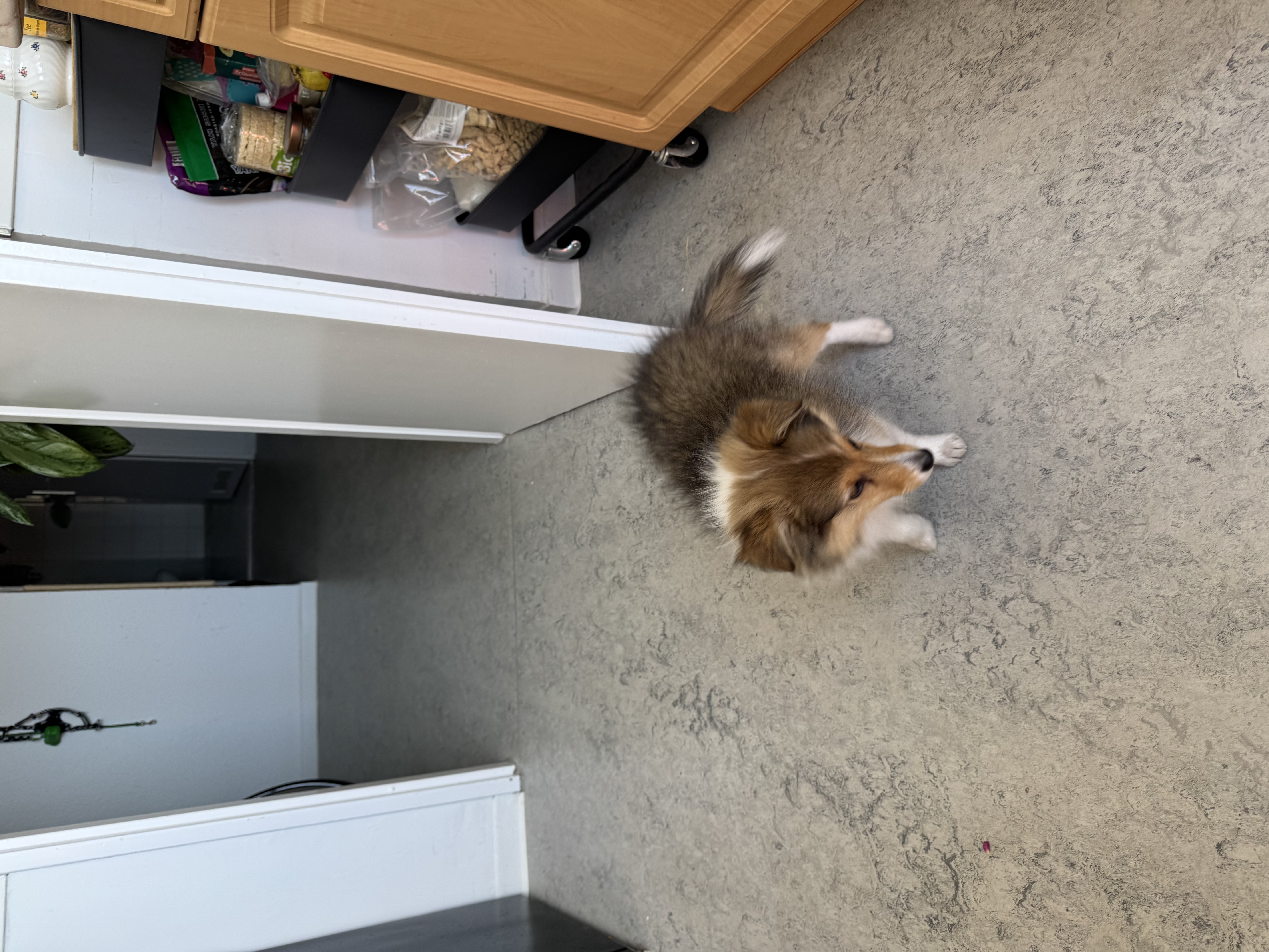 image-16