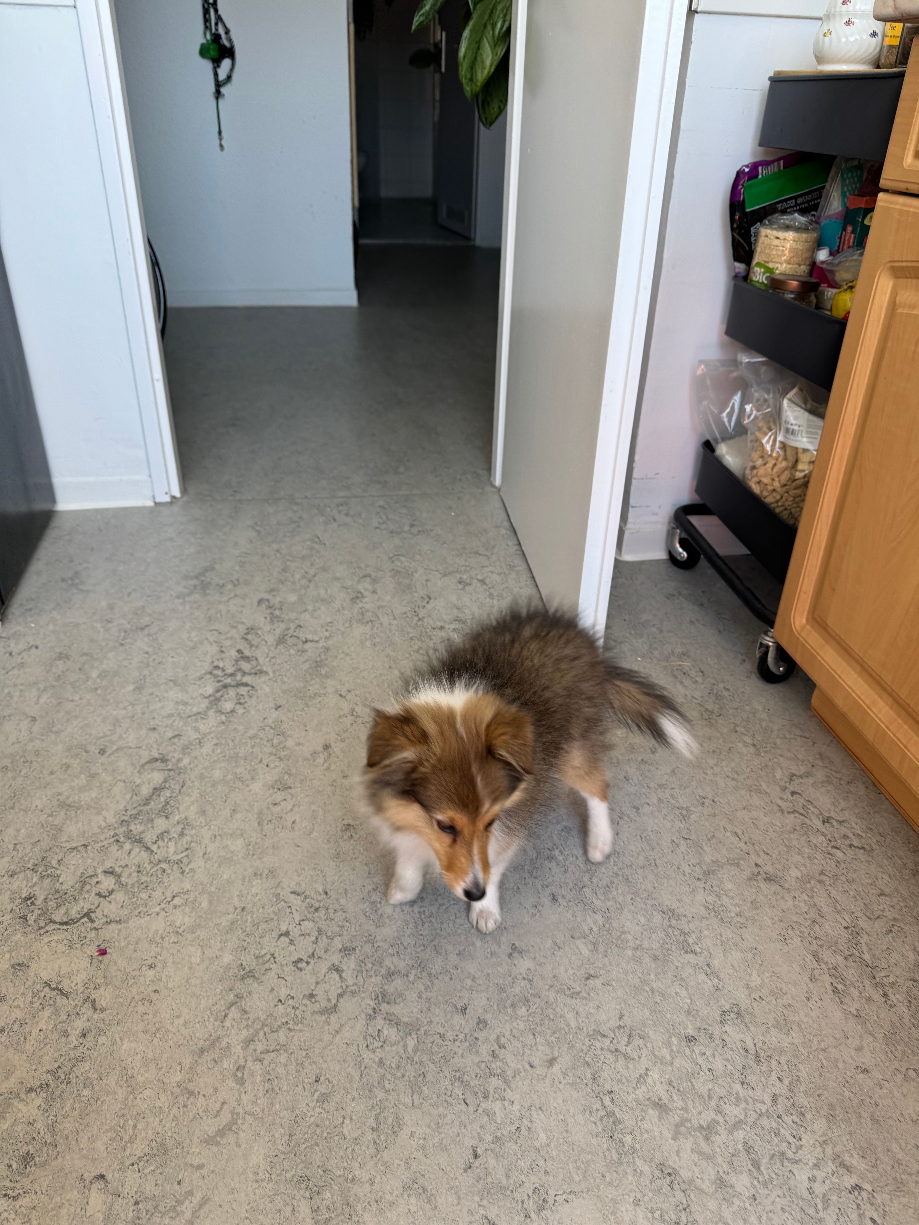image-16