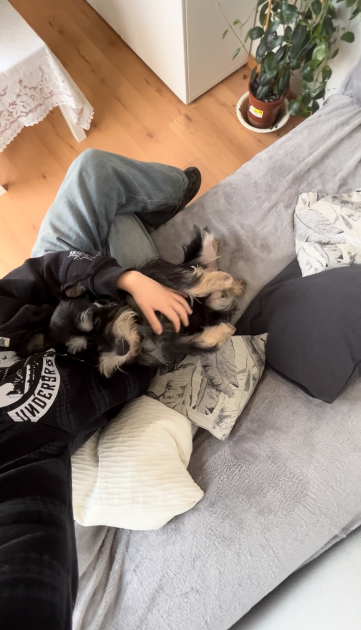 image-10