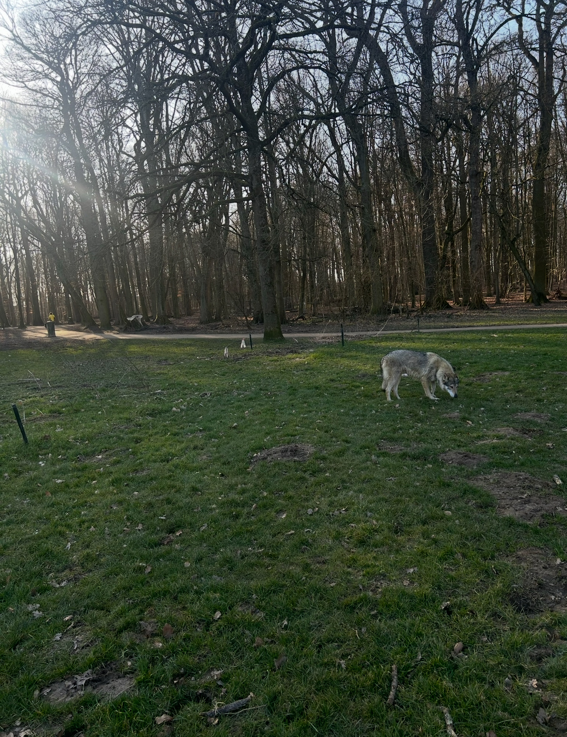 image-16