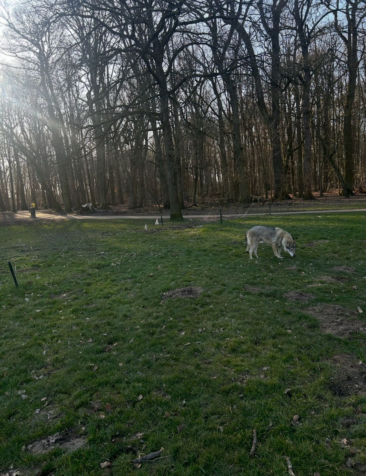 image-16