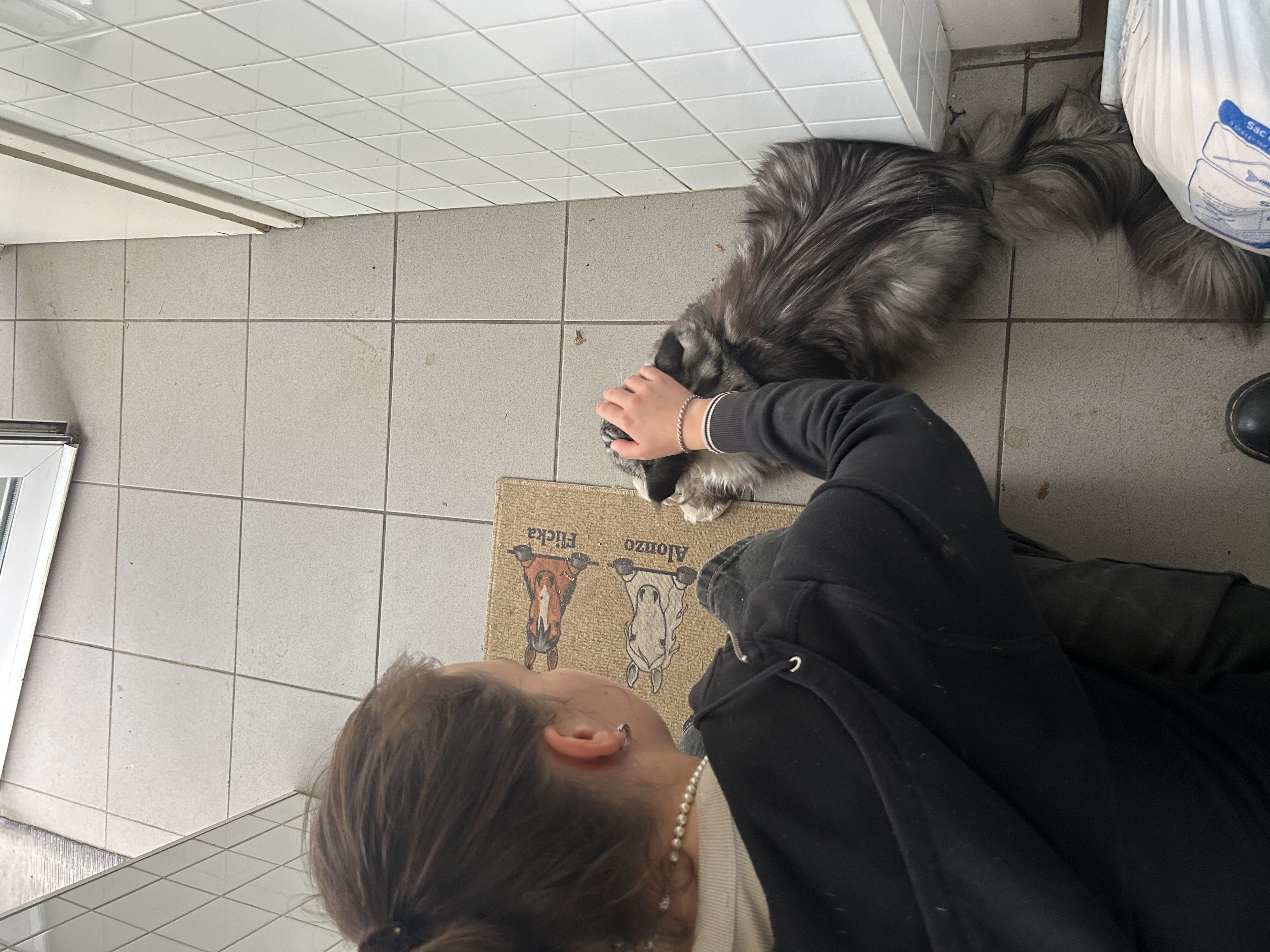 image-7