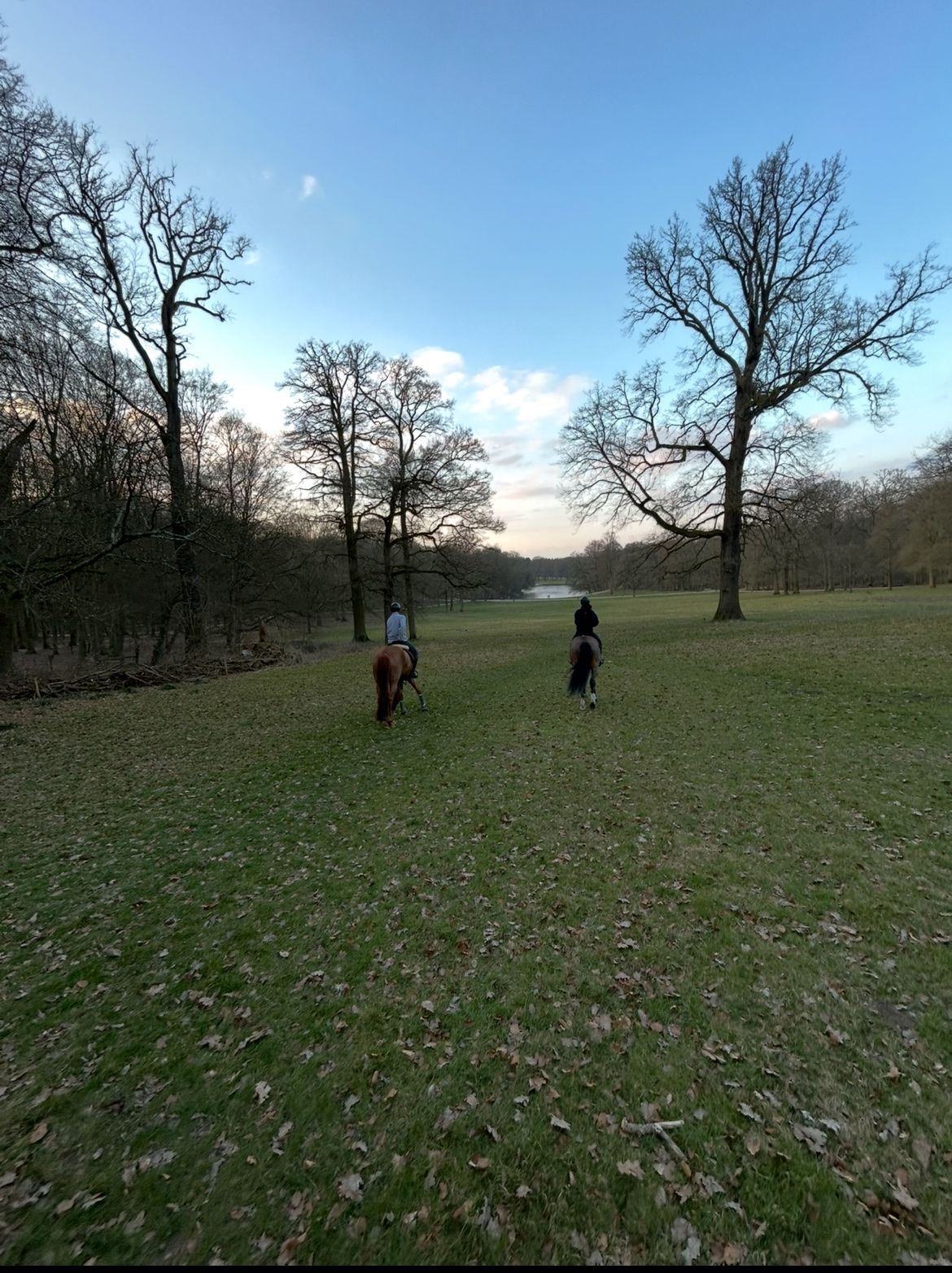 image-15