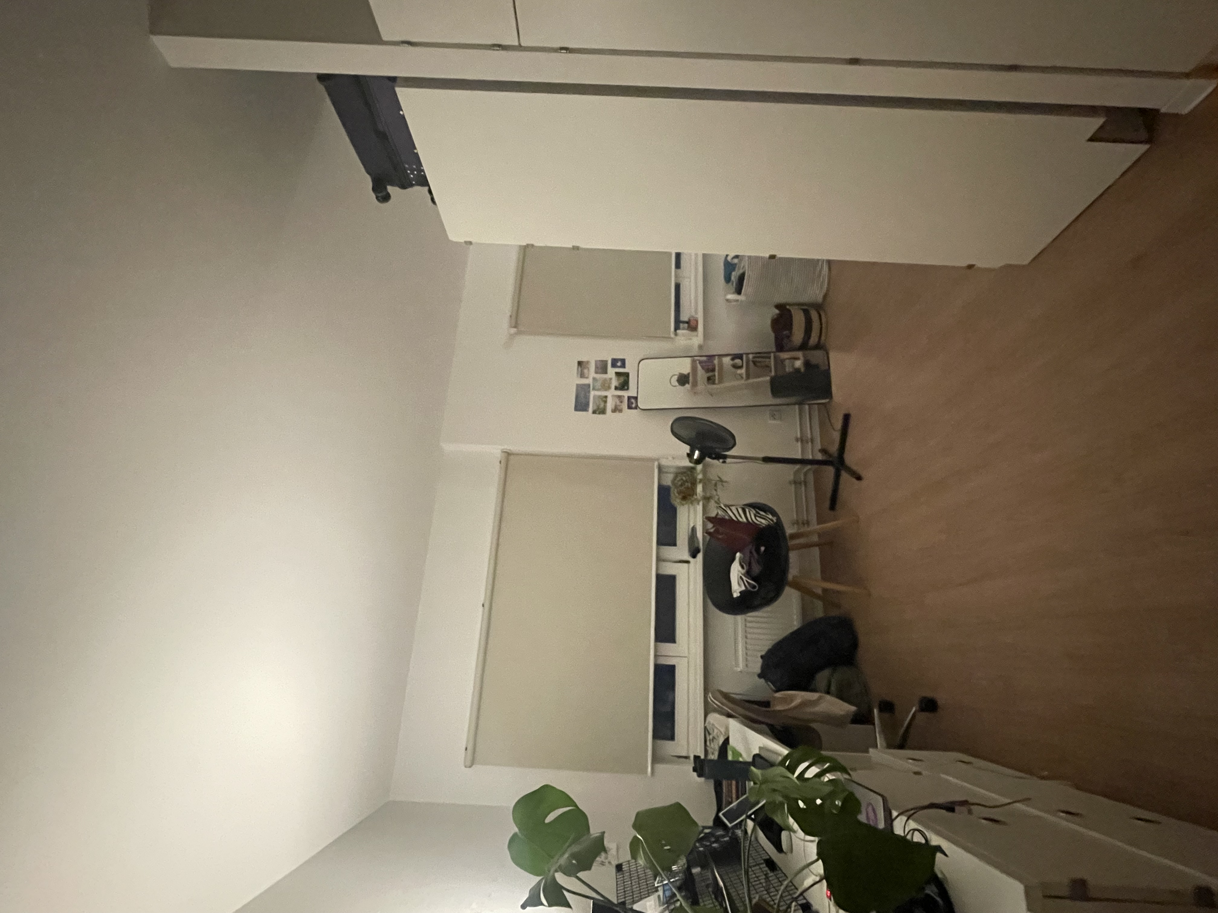 image-8