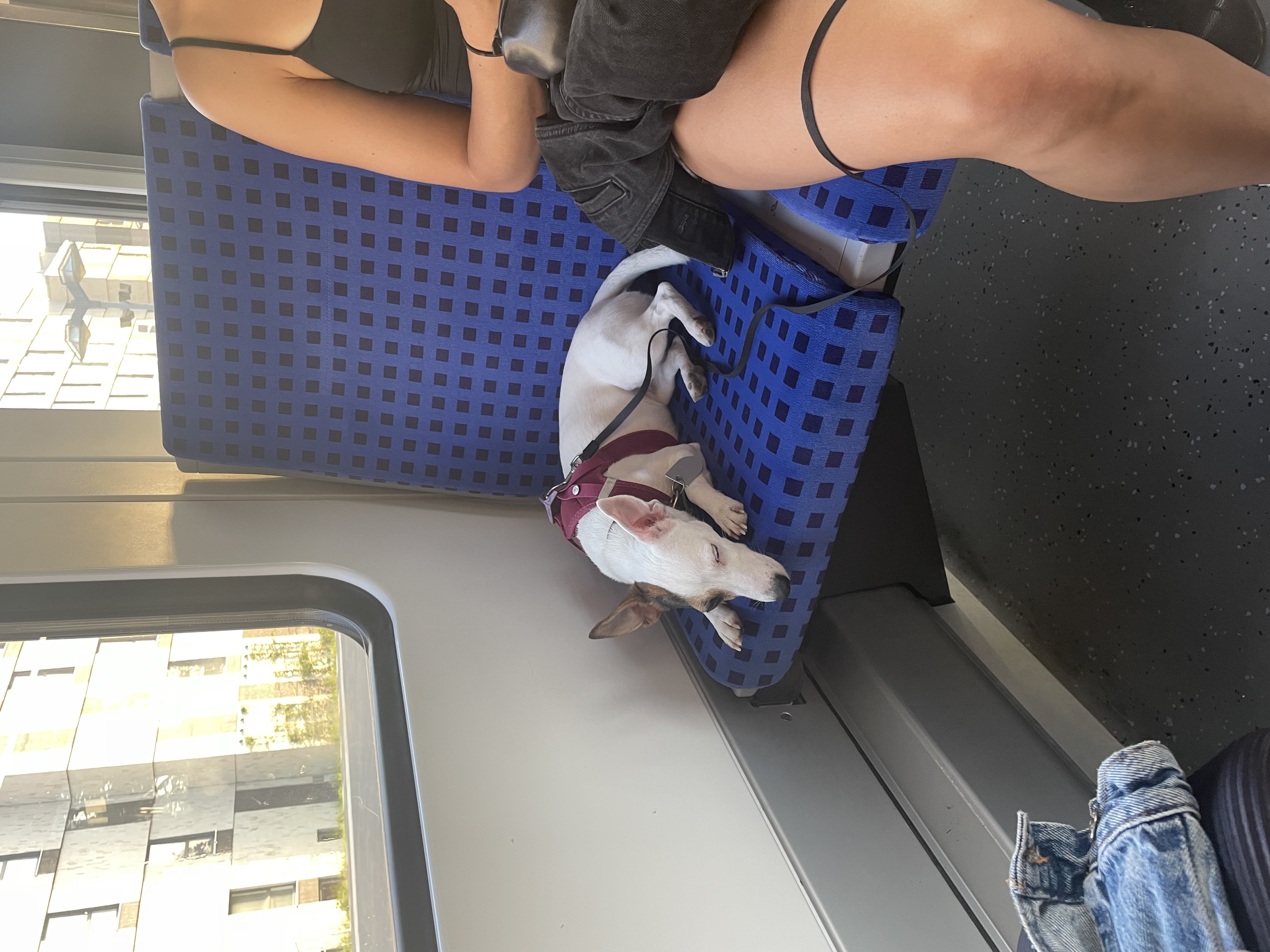 image-5