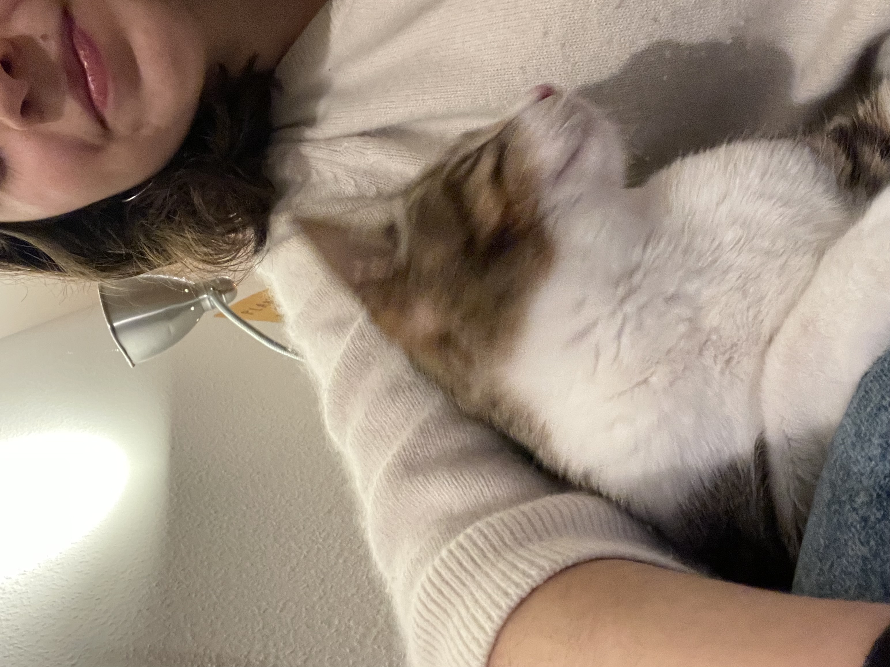 image-6