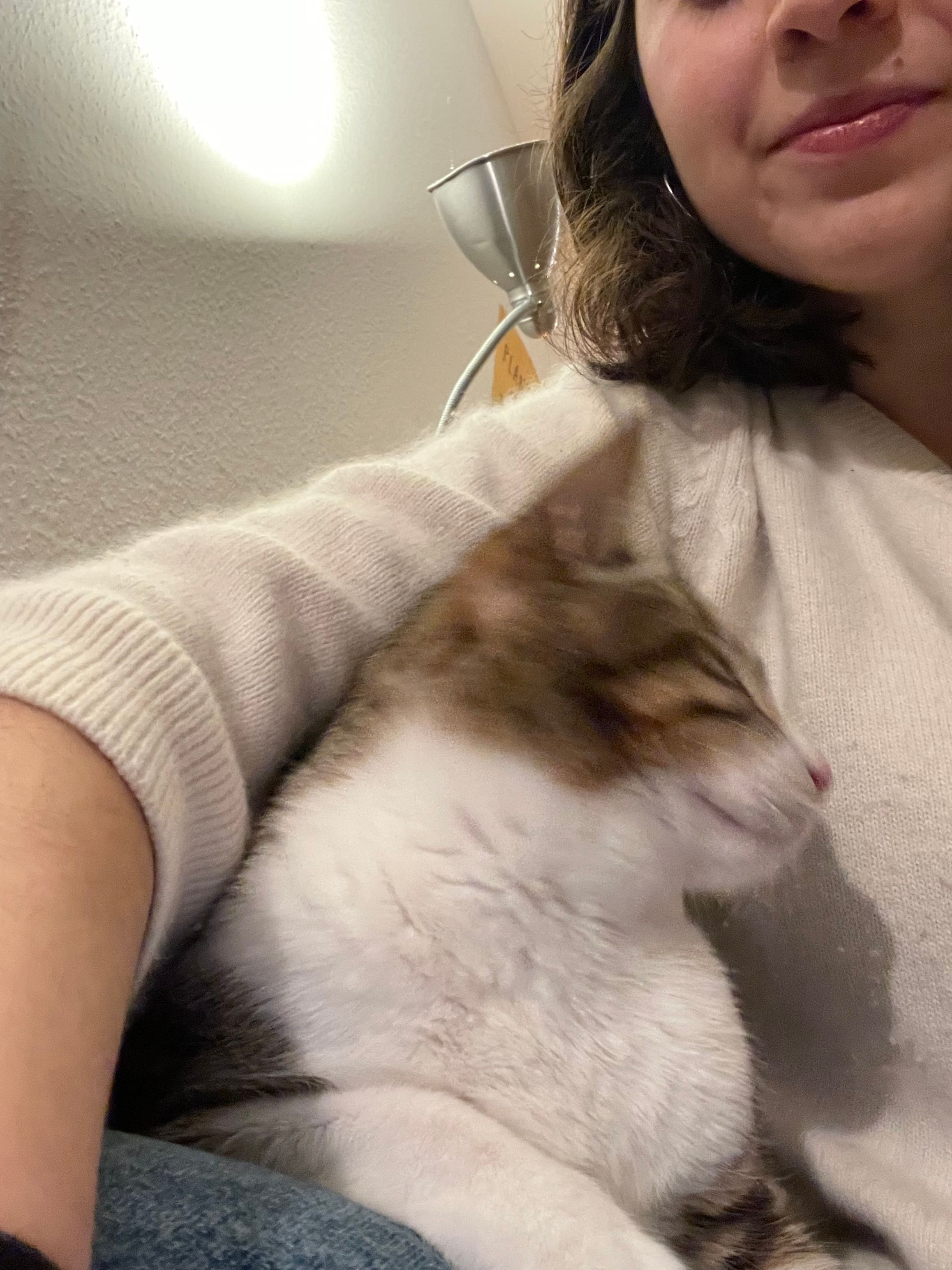 image-6