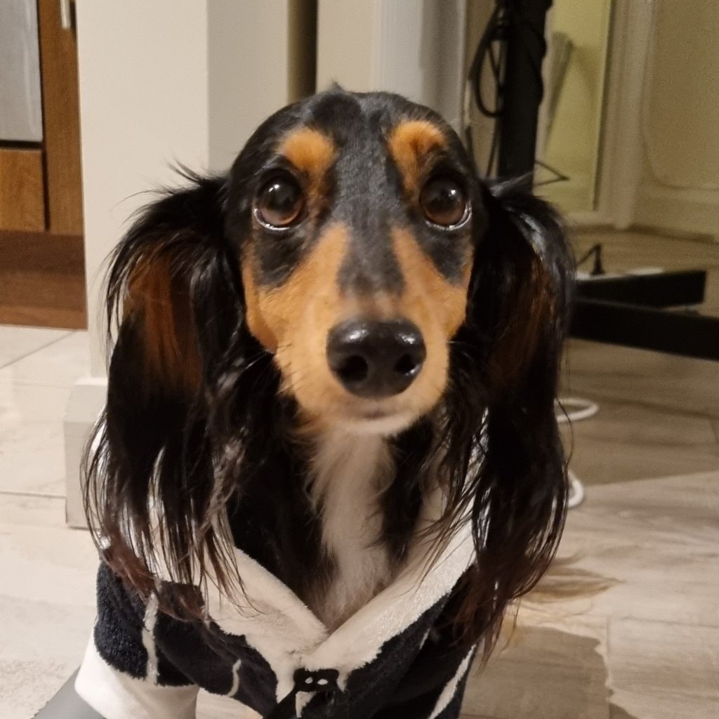 Darwin