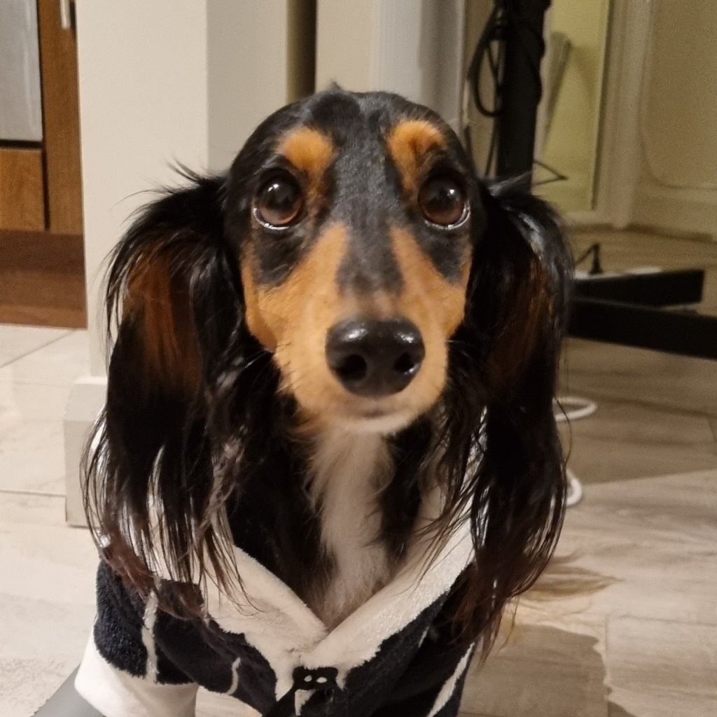 Darwin
