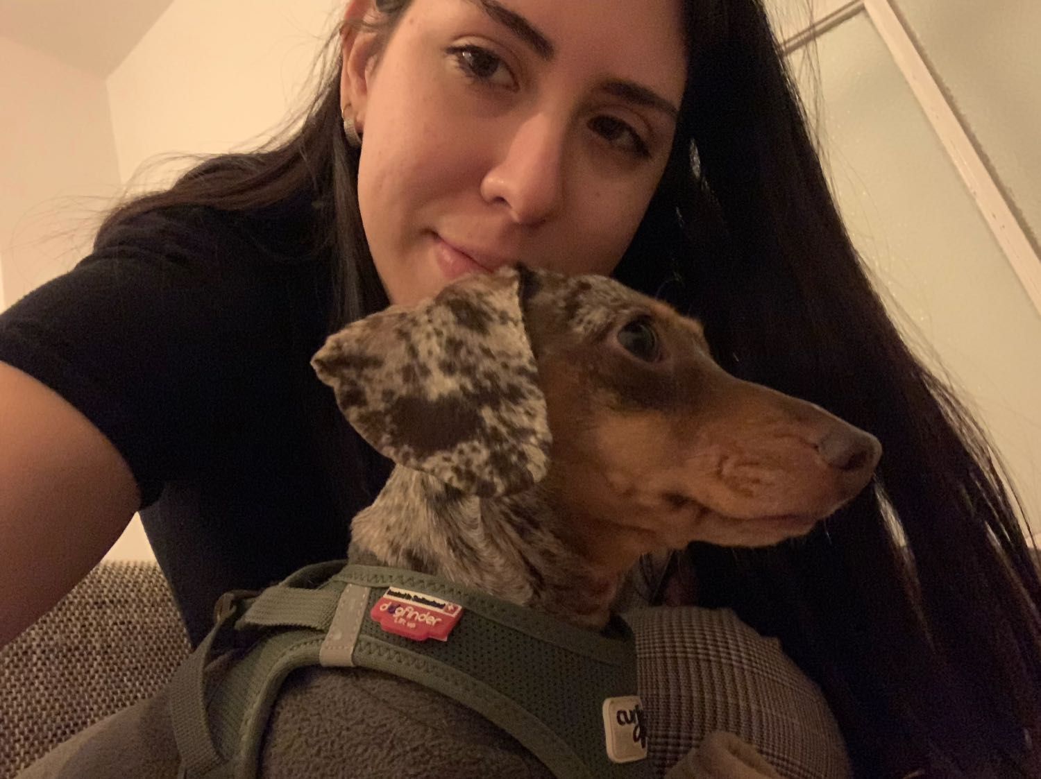 image-6
