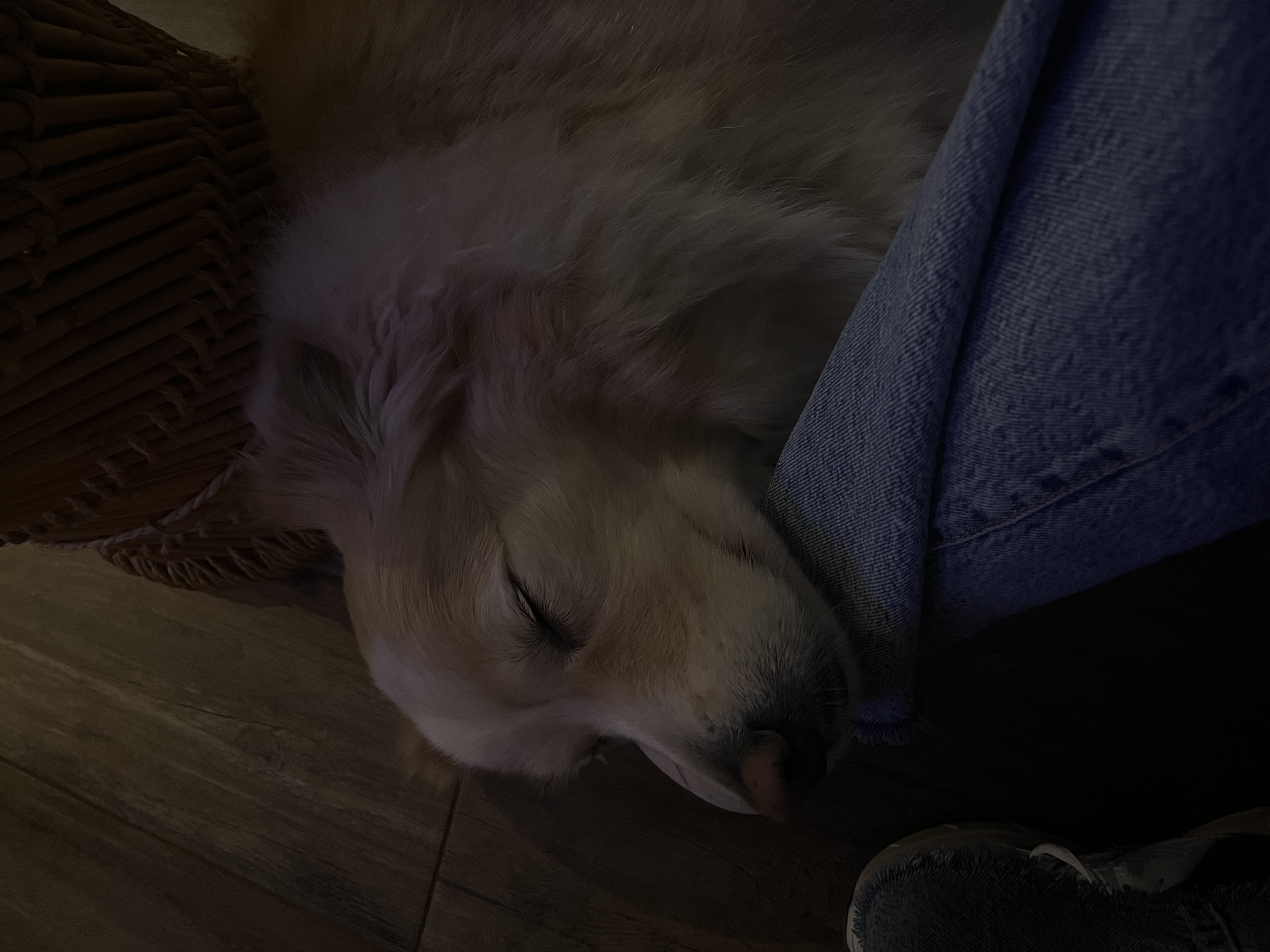 image-11