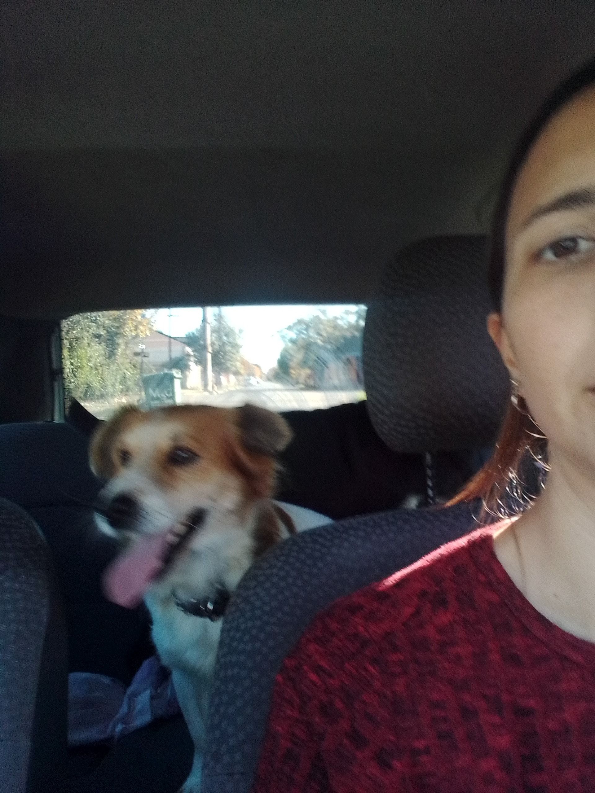 image-6