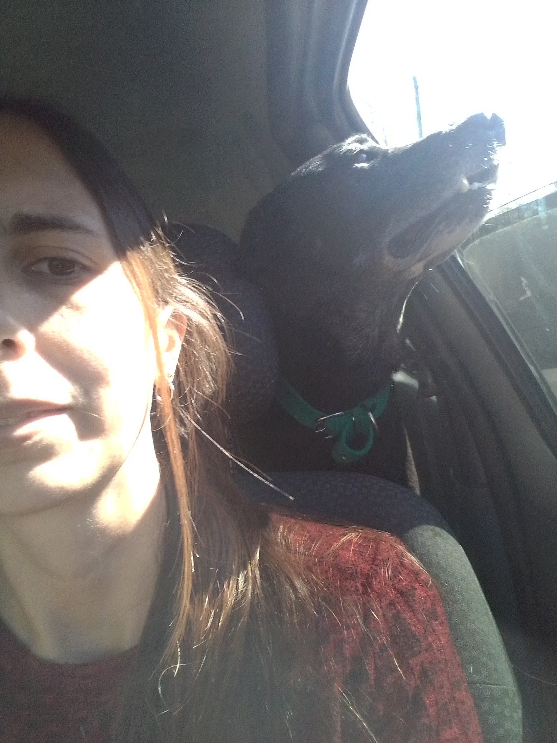 image-7