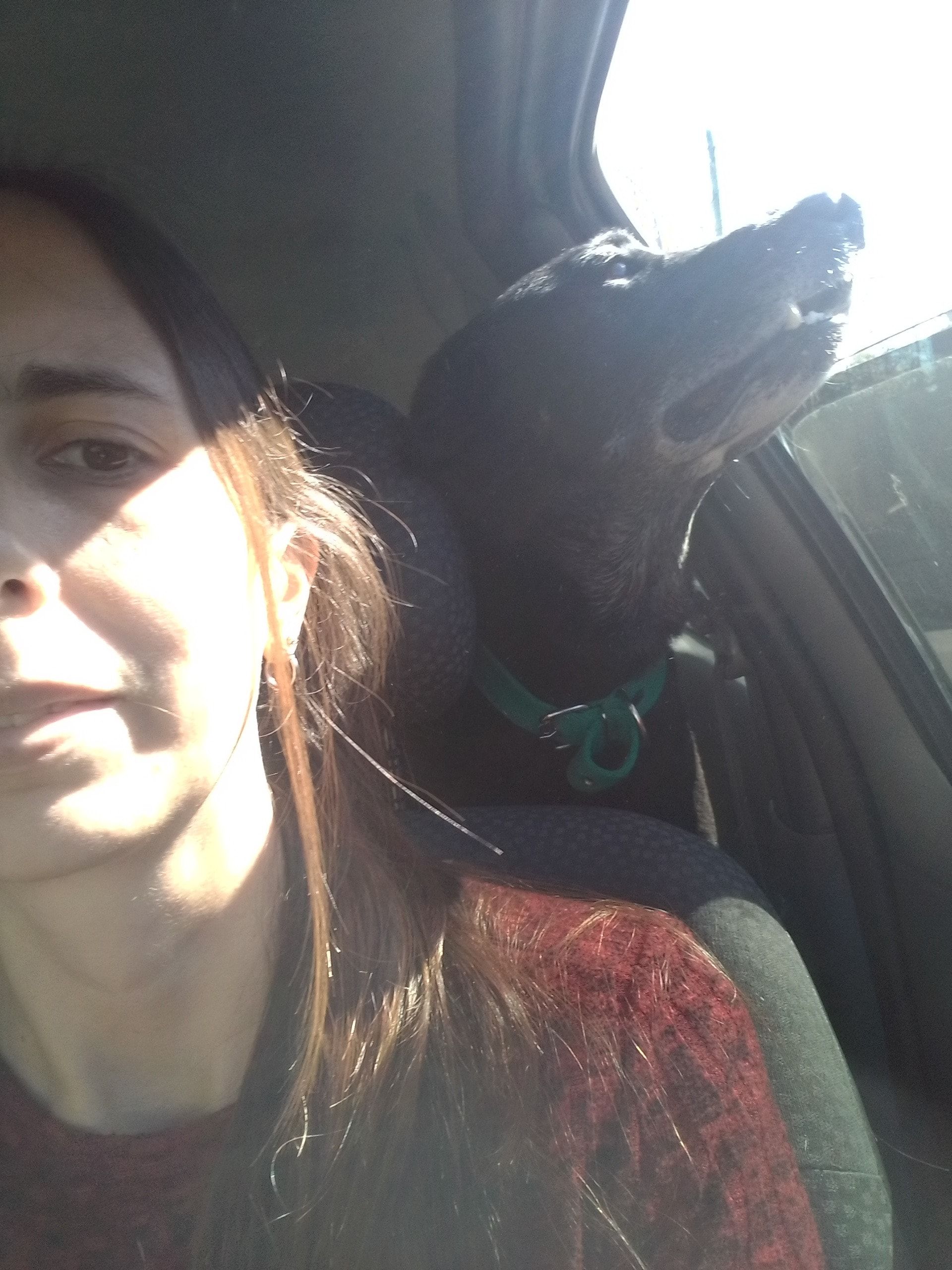 image-7