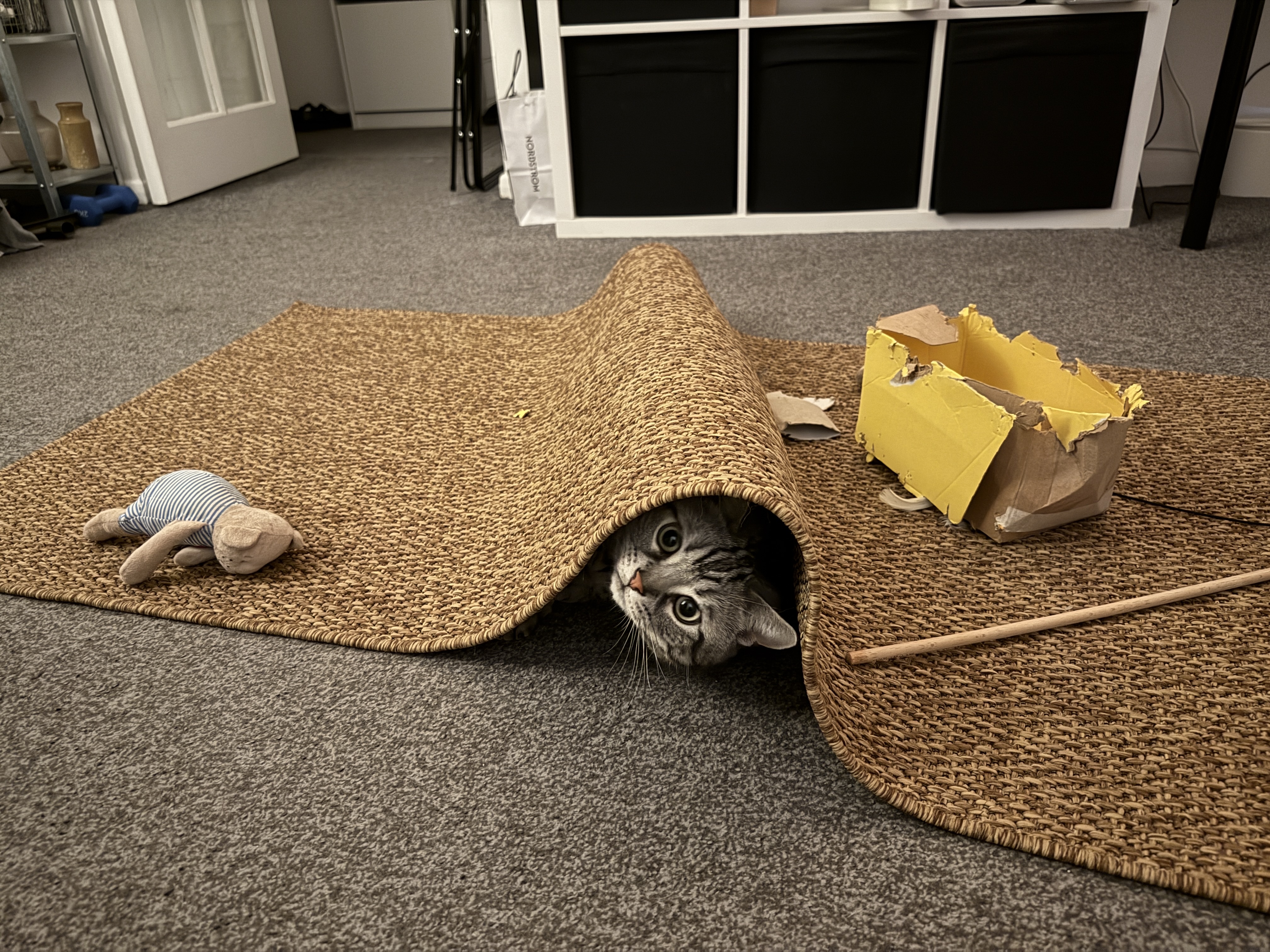 image-11