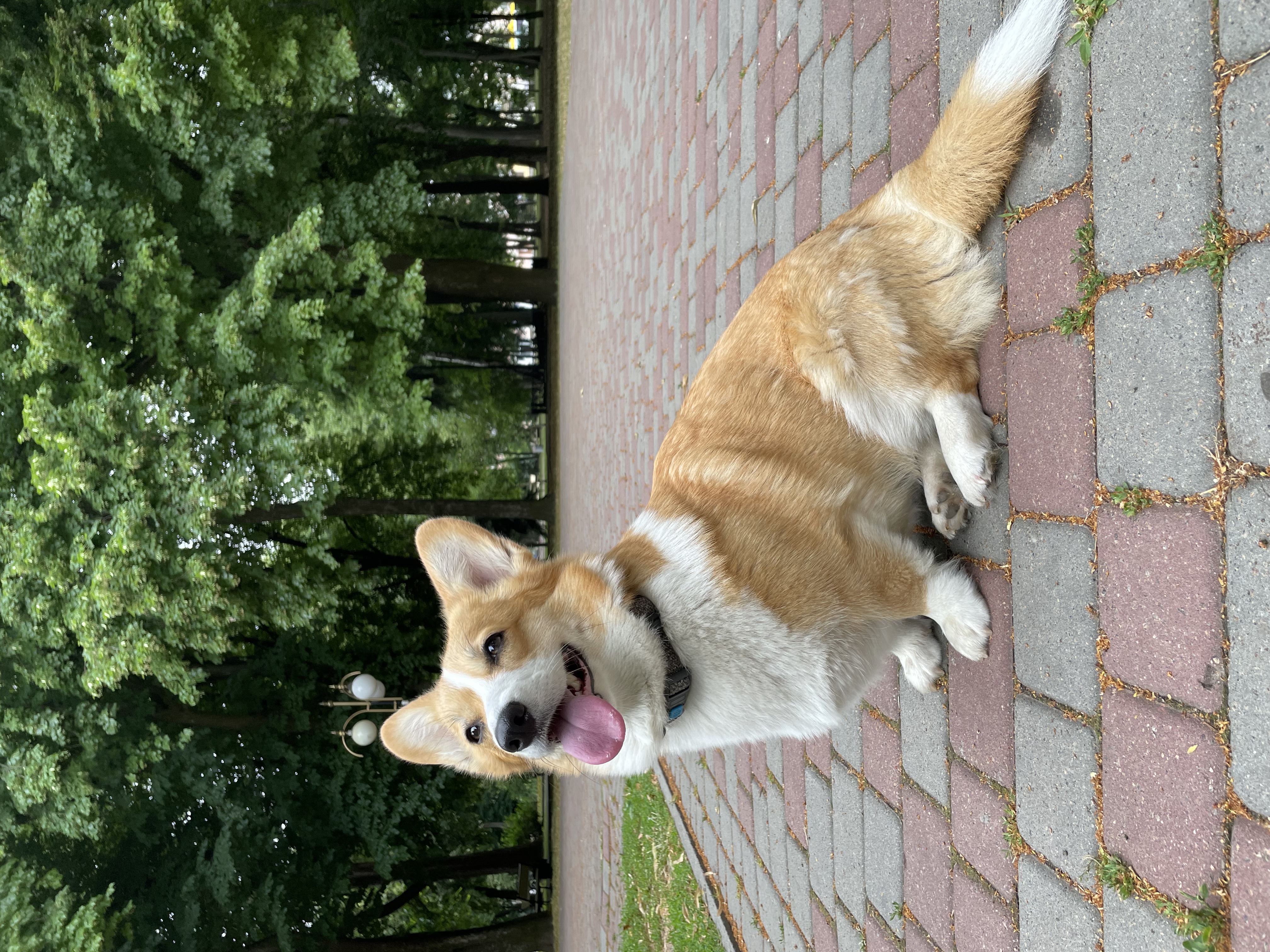 image-7