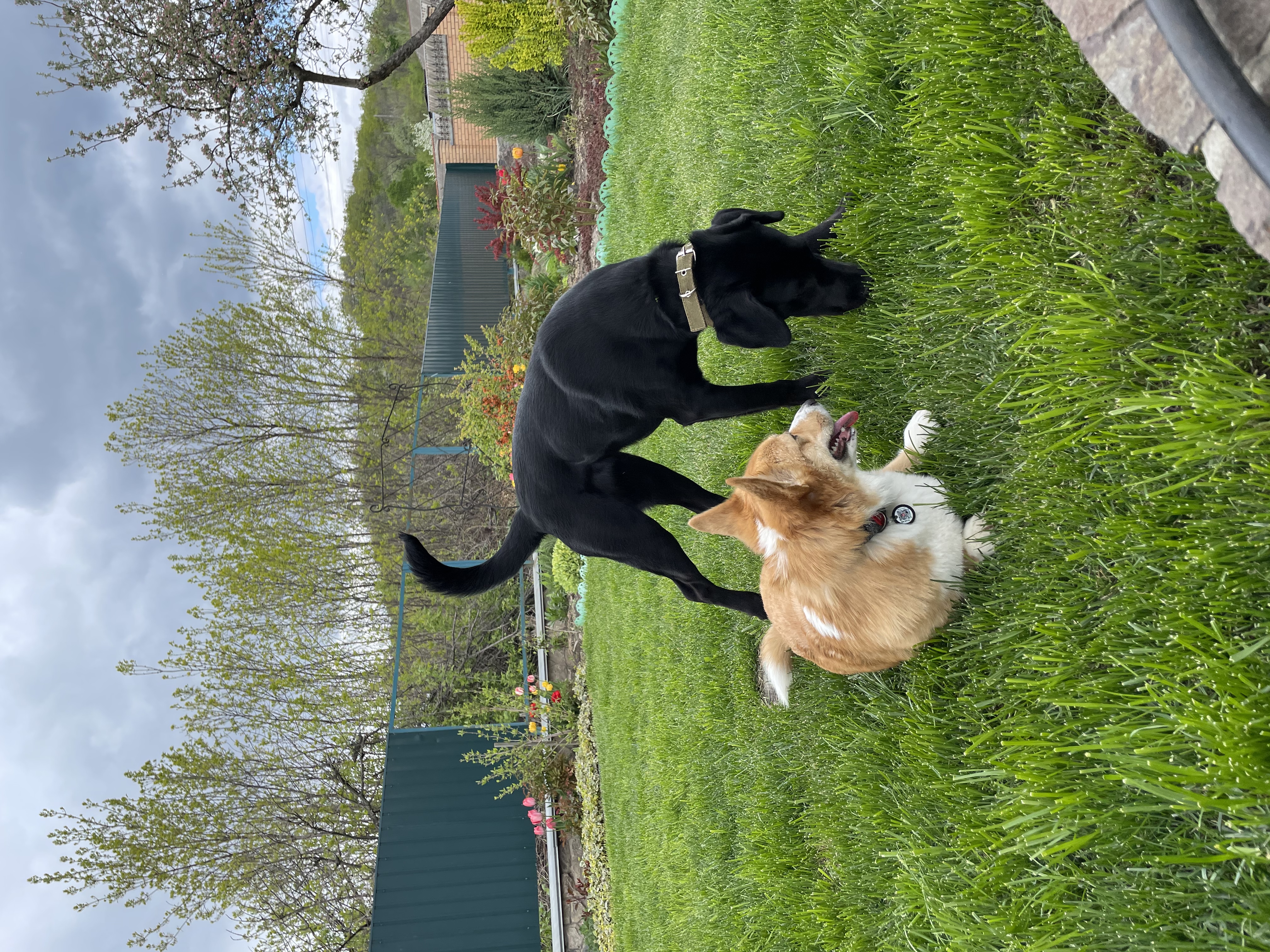 image-12