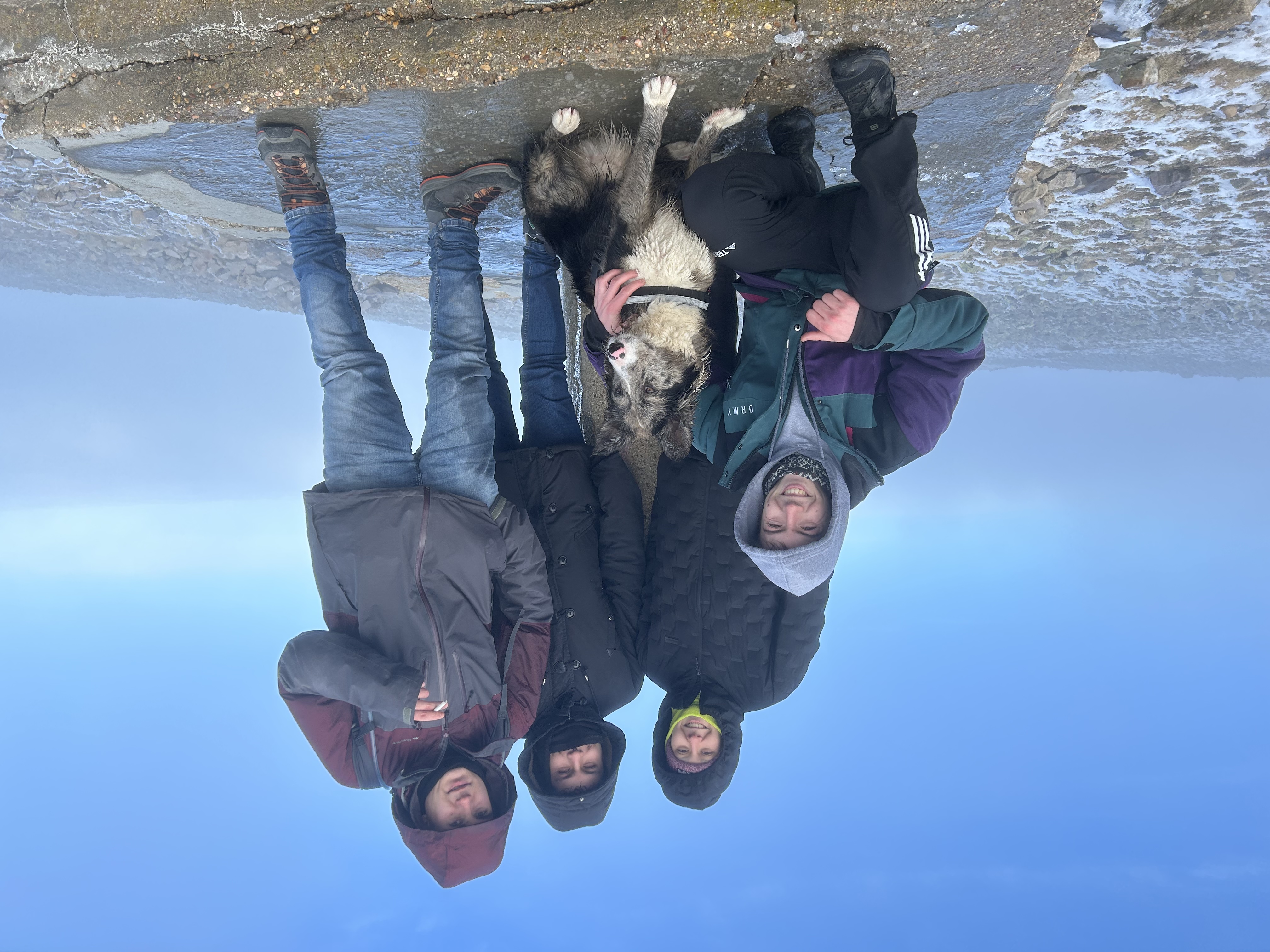 image-6