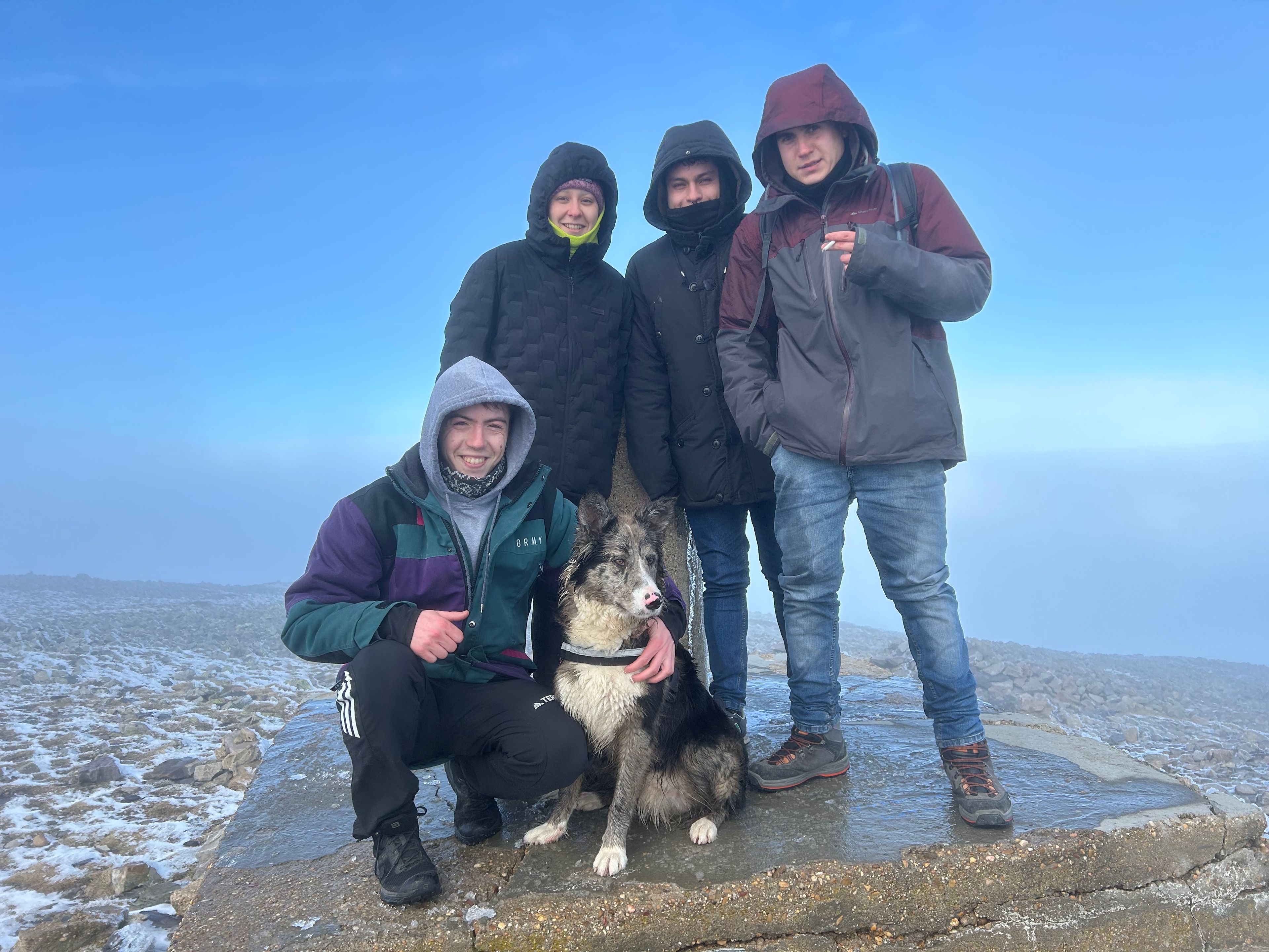 image-6