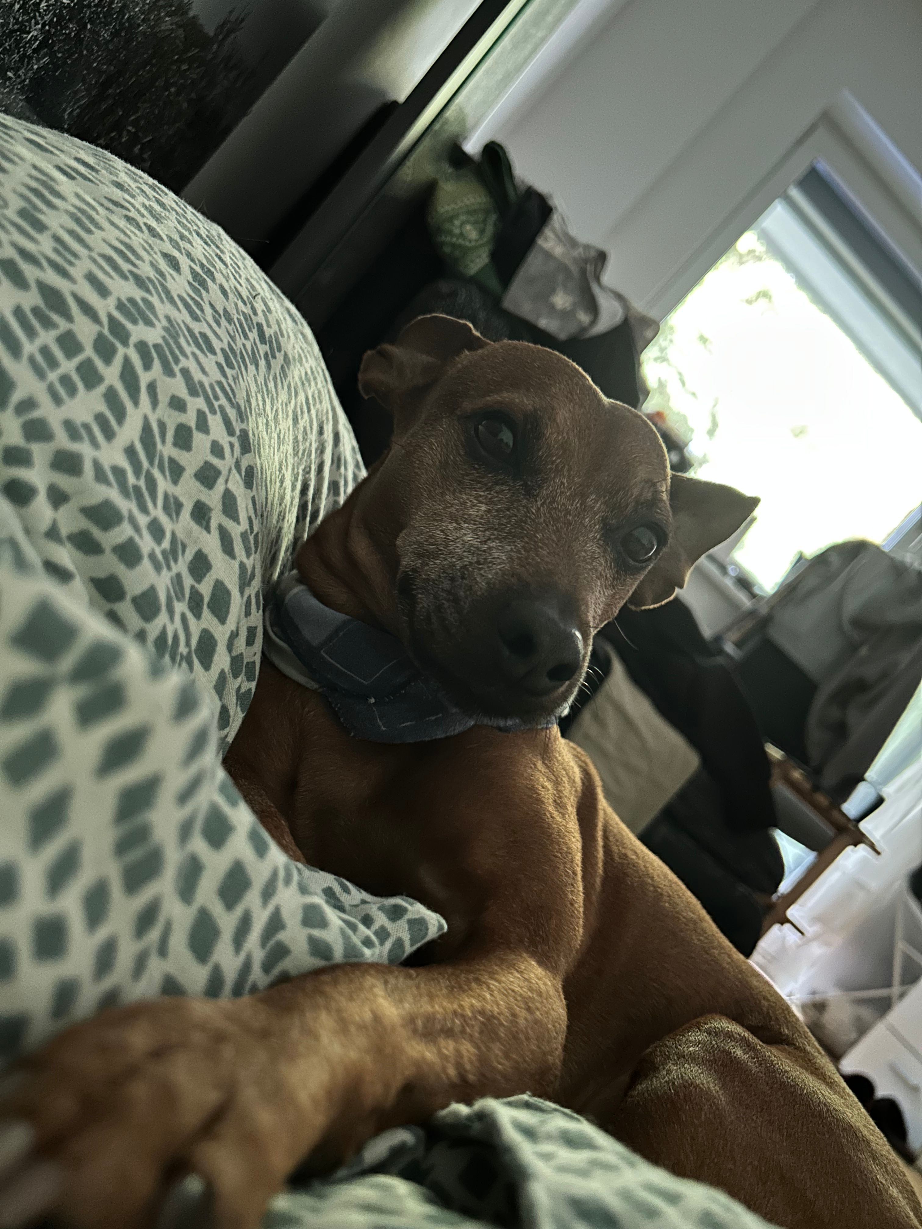 image-10