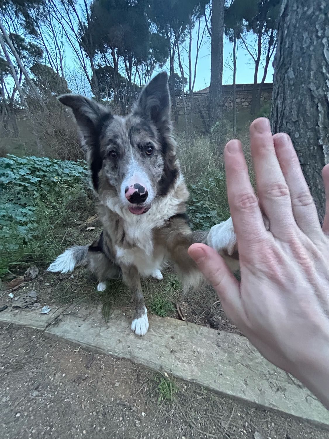 image-5