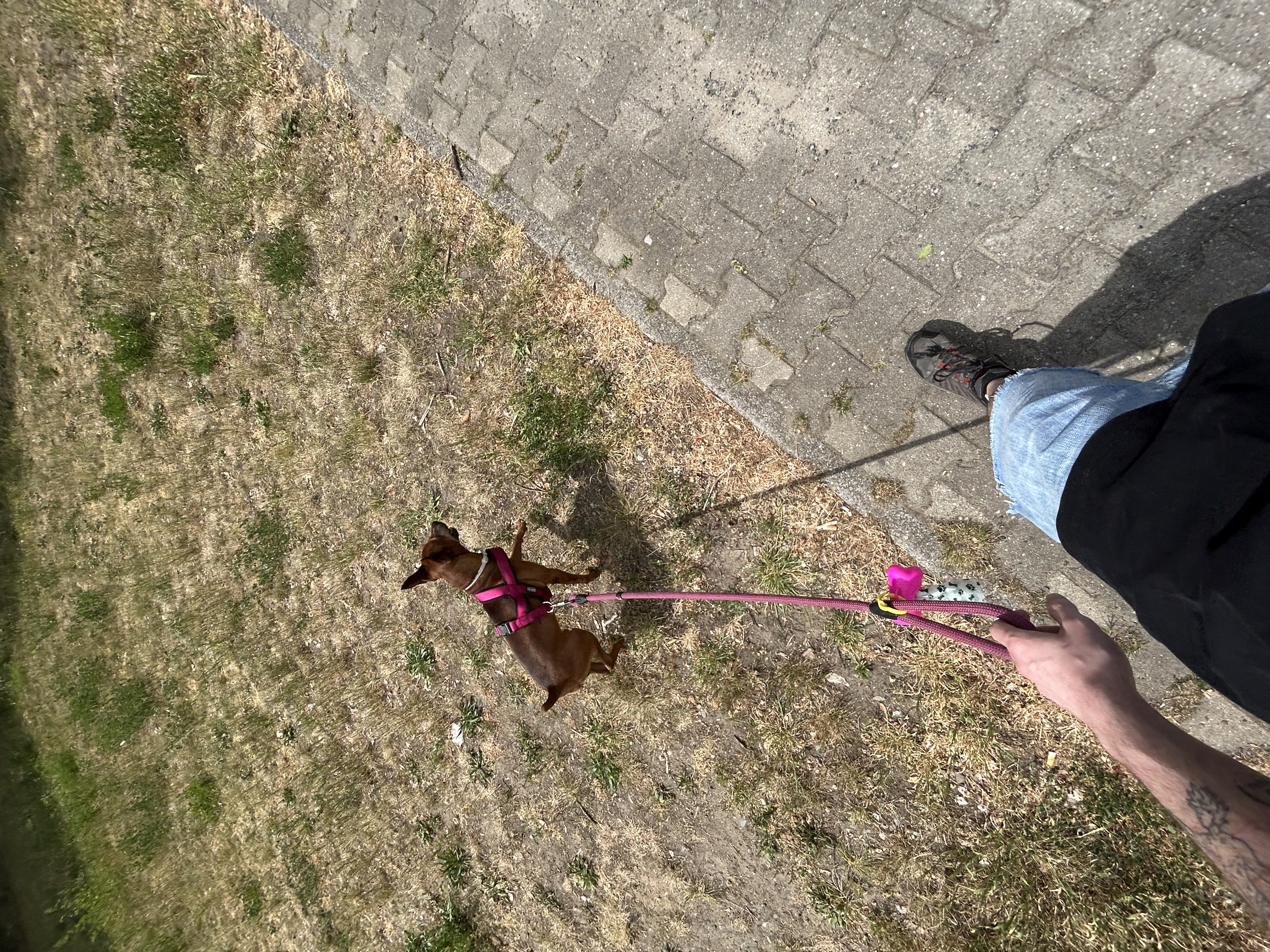 image-8