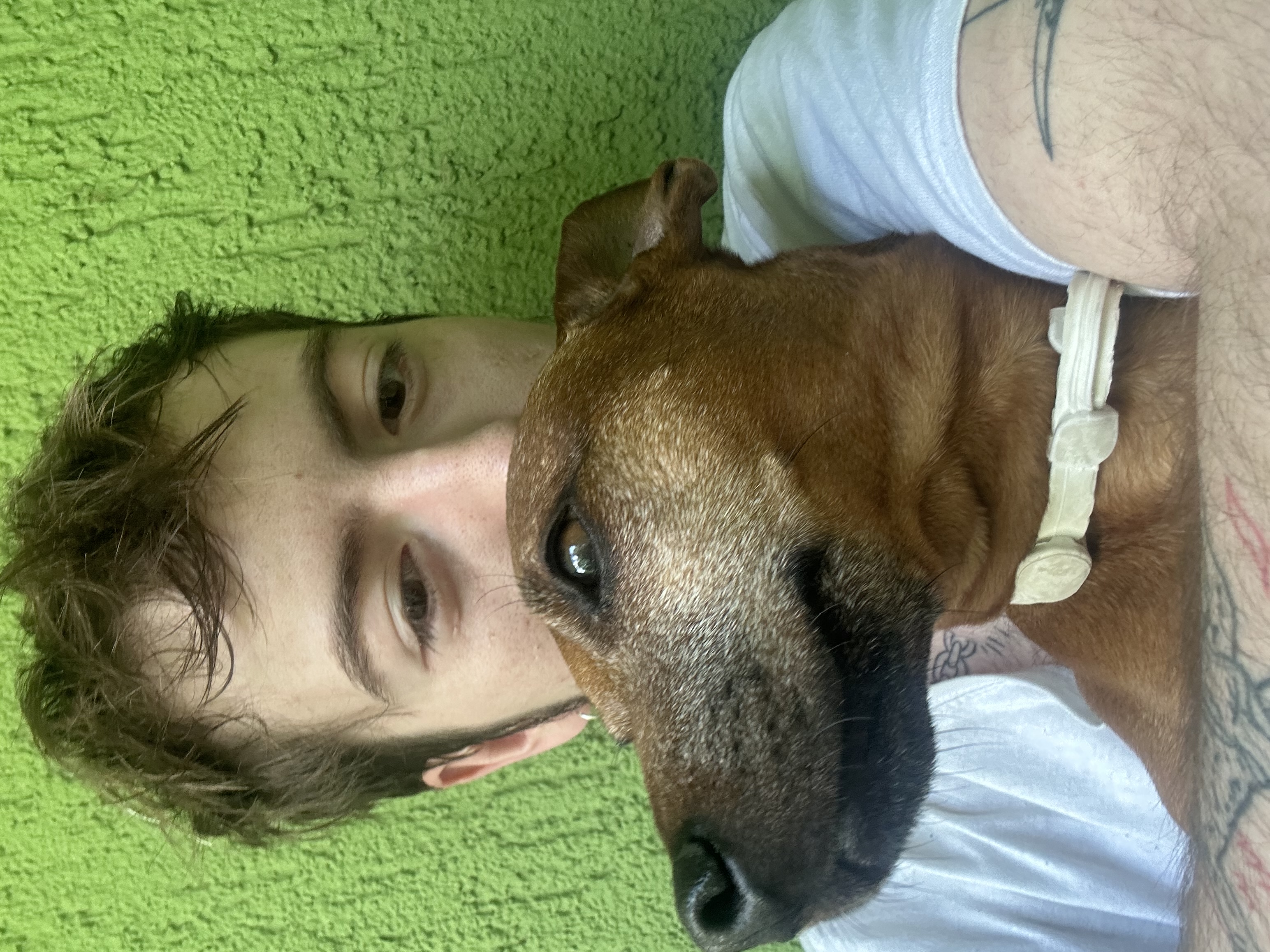 image-7