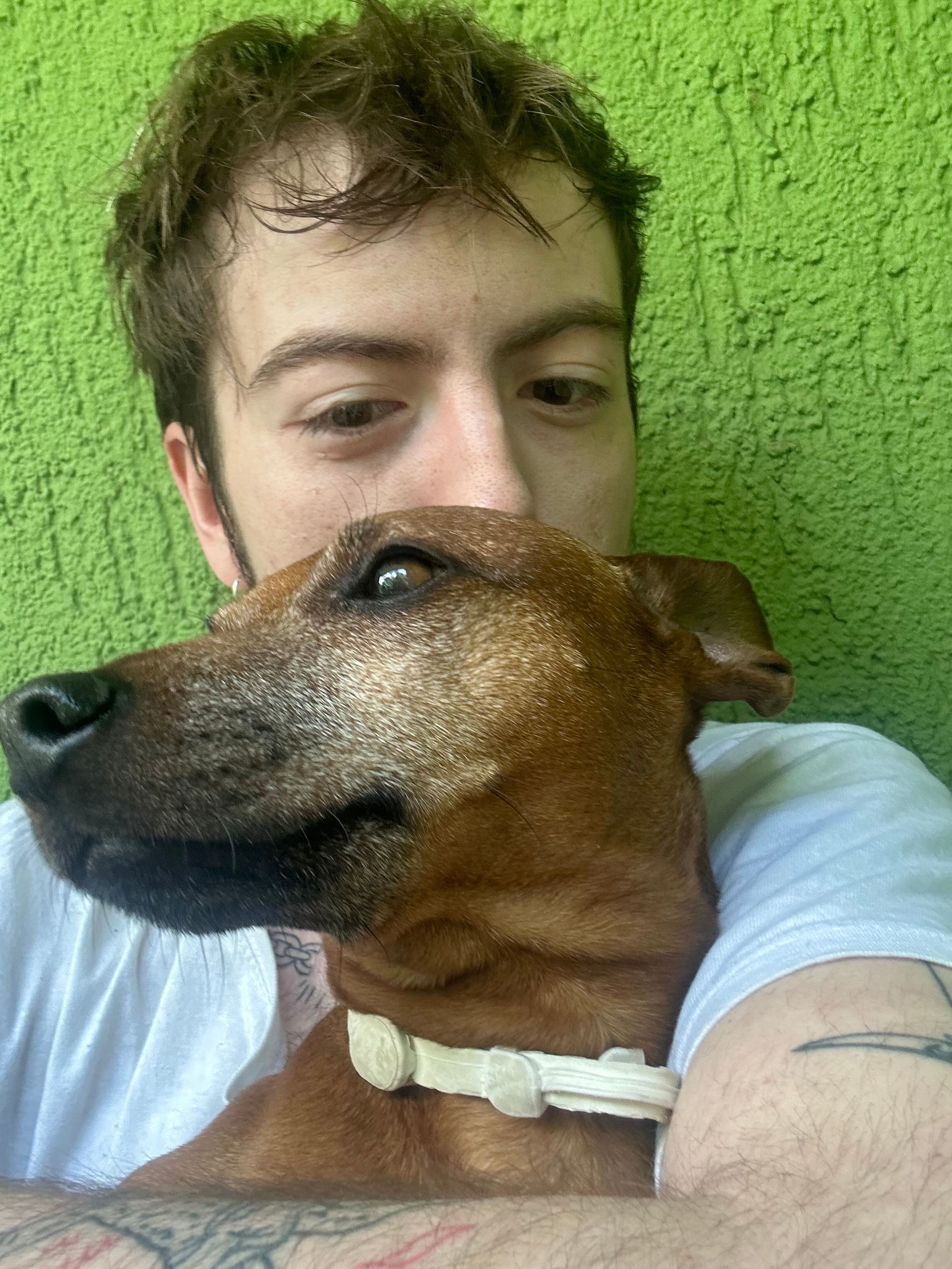 image-7