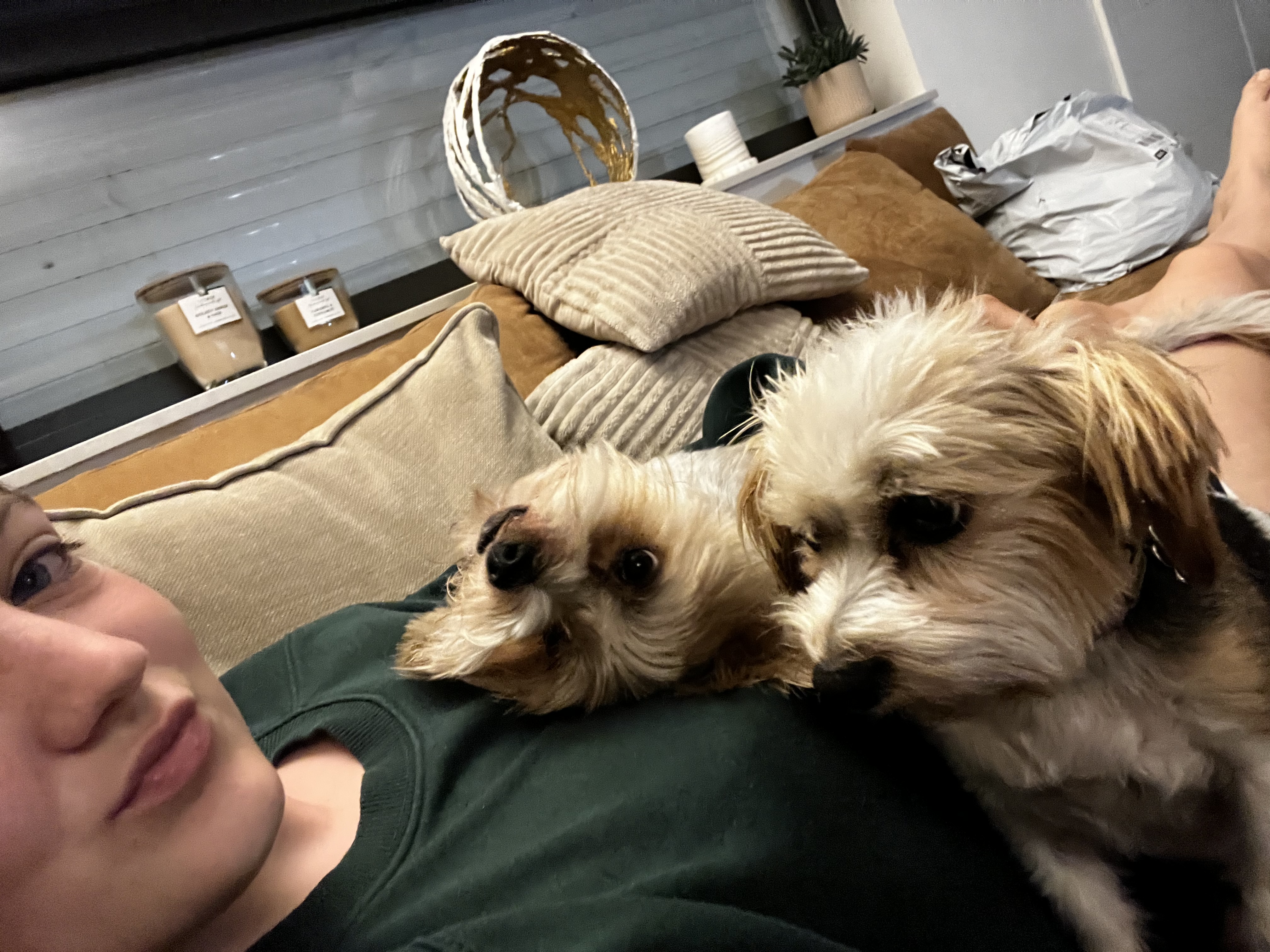 image-6
