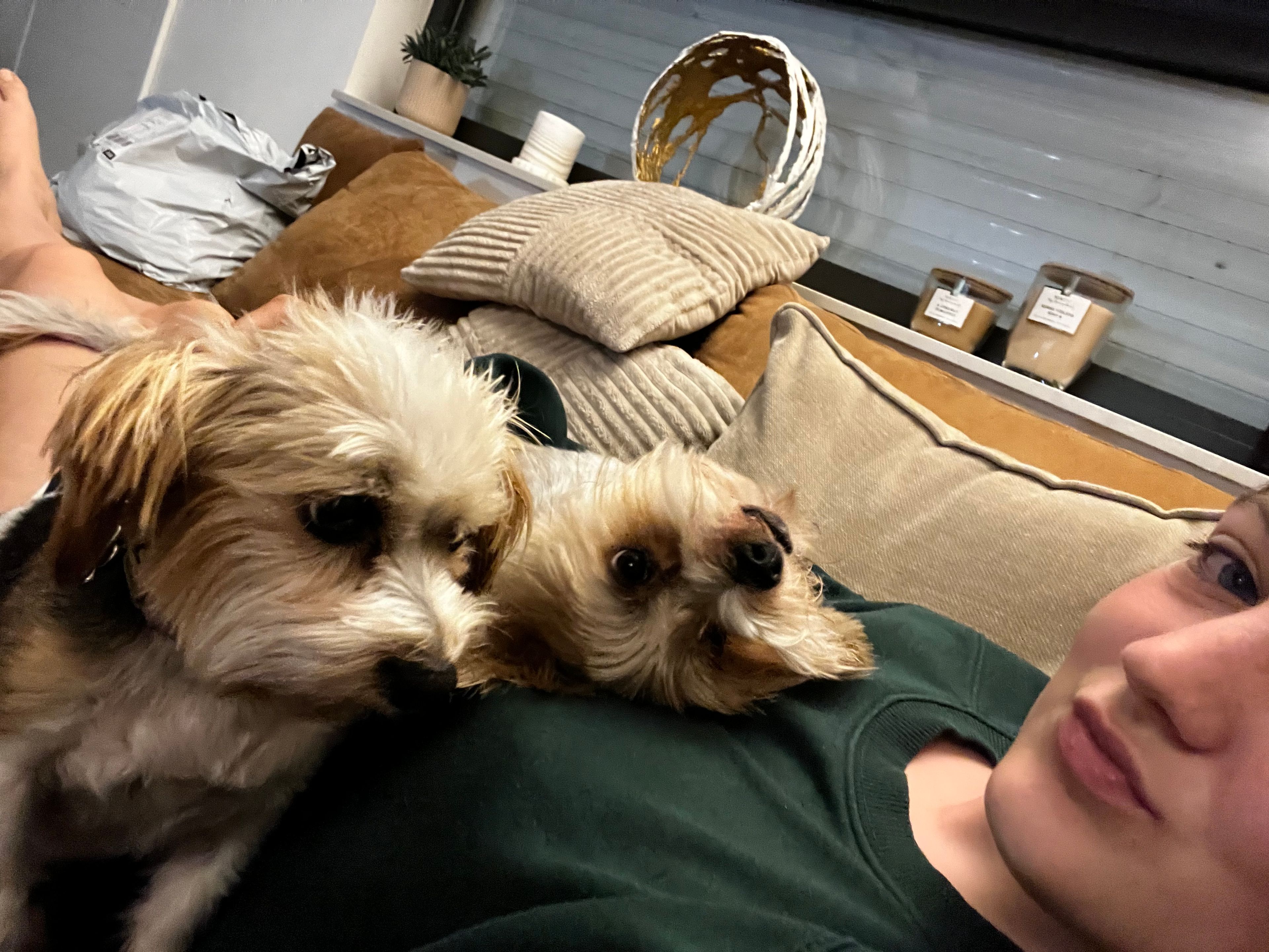 image-6