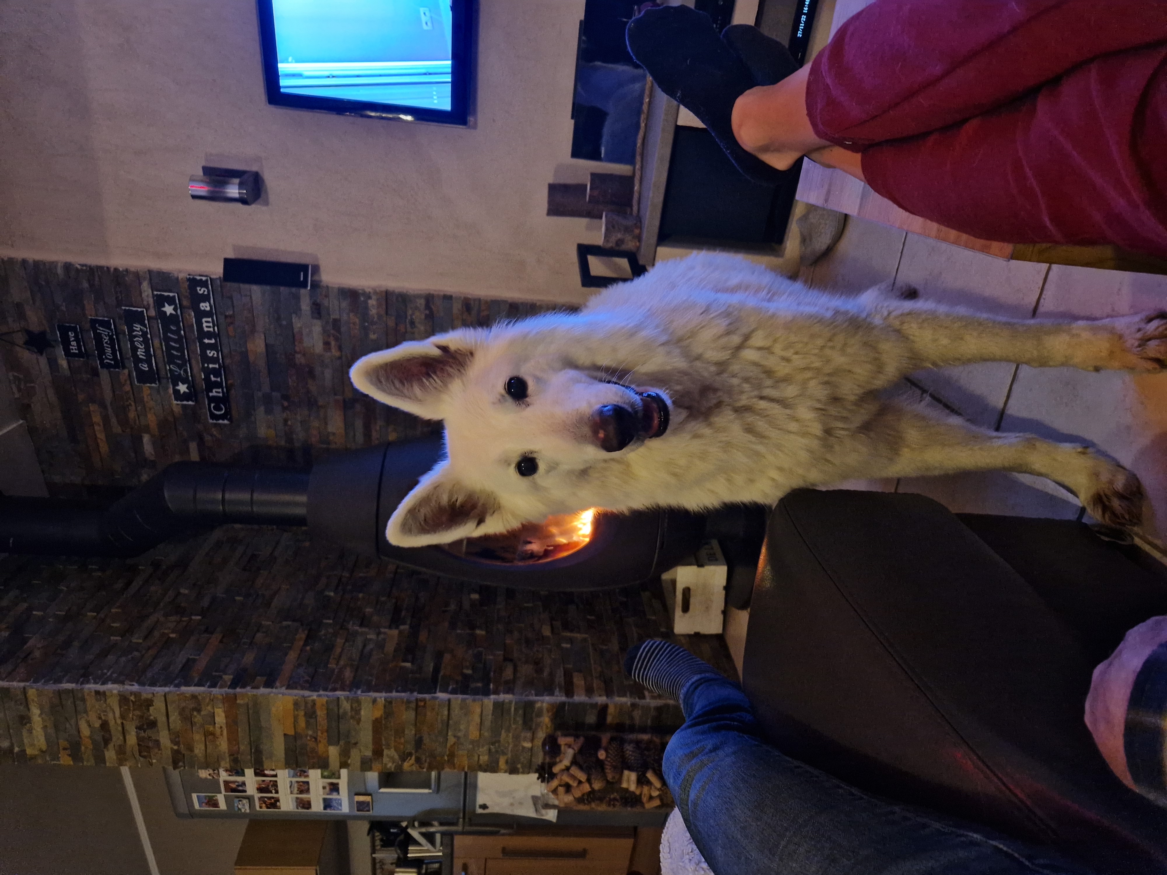 image-3