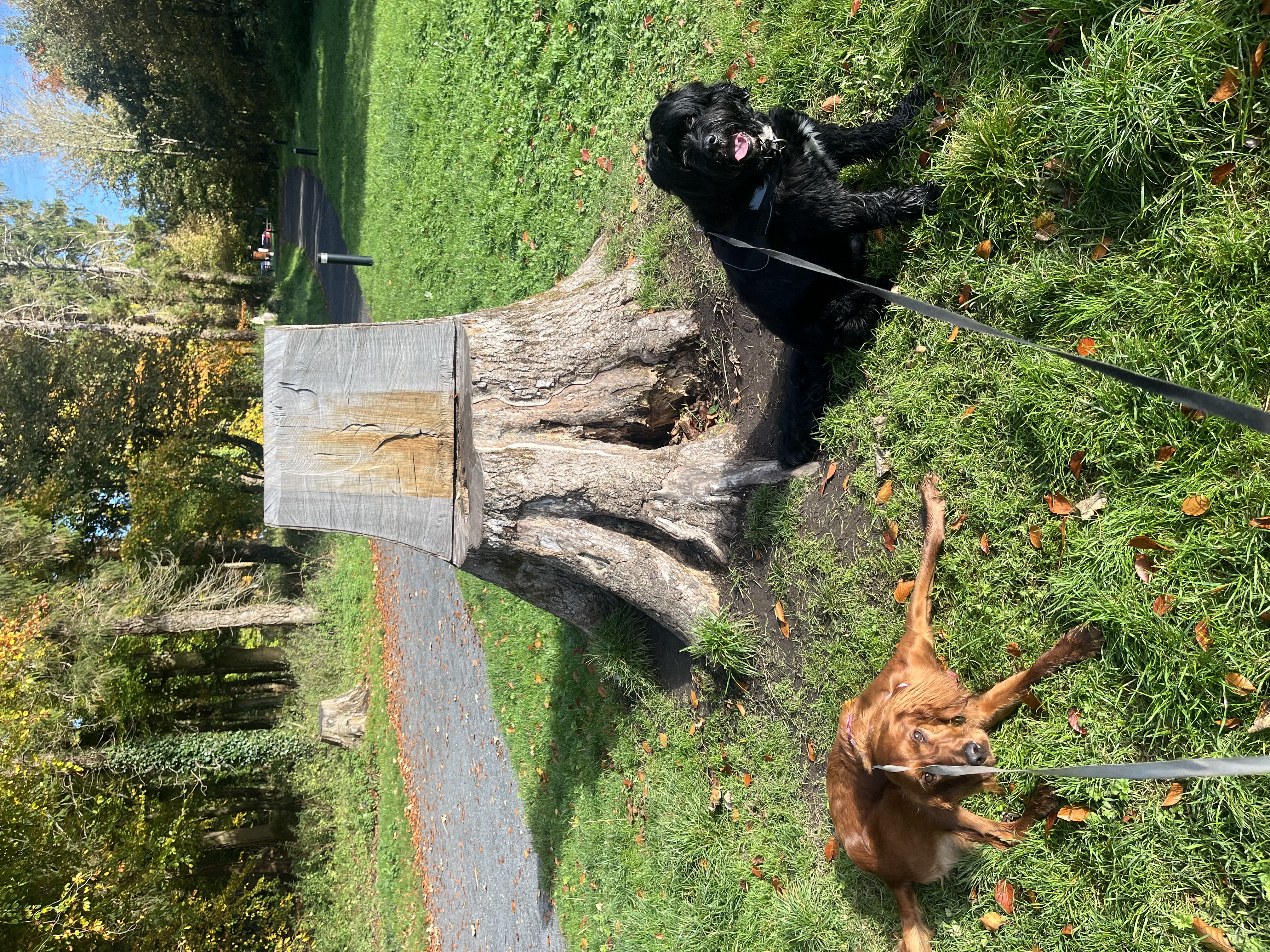 image-6