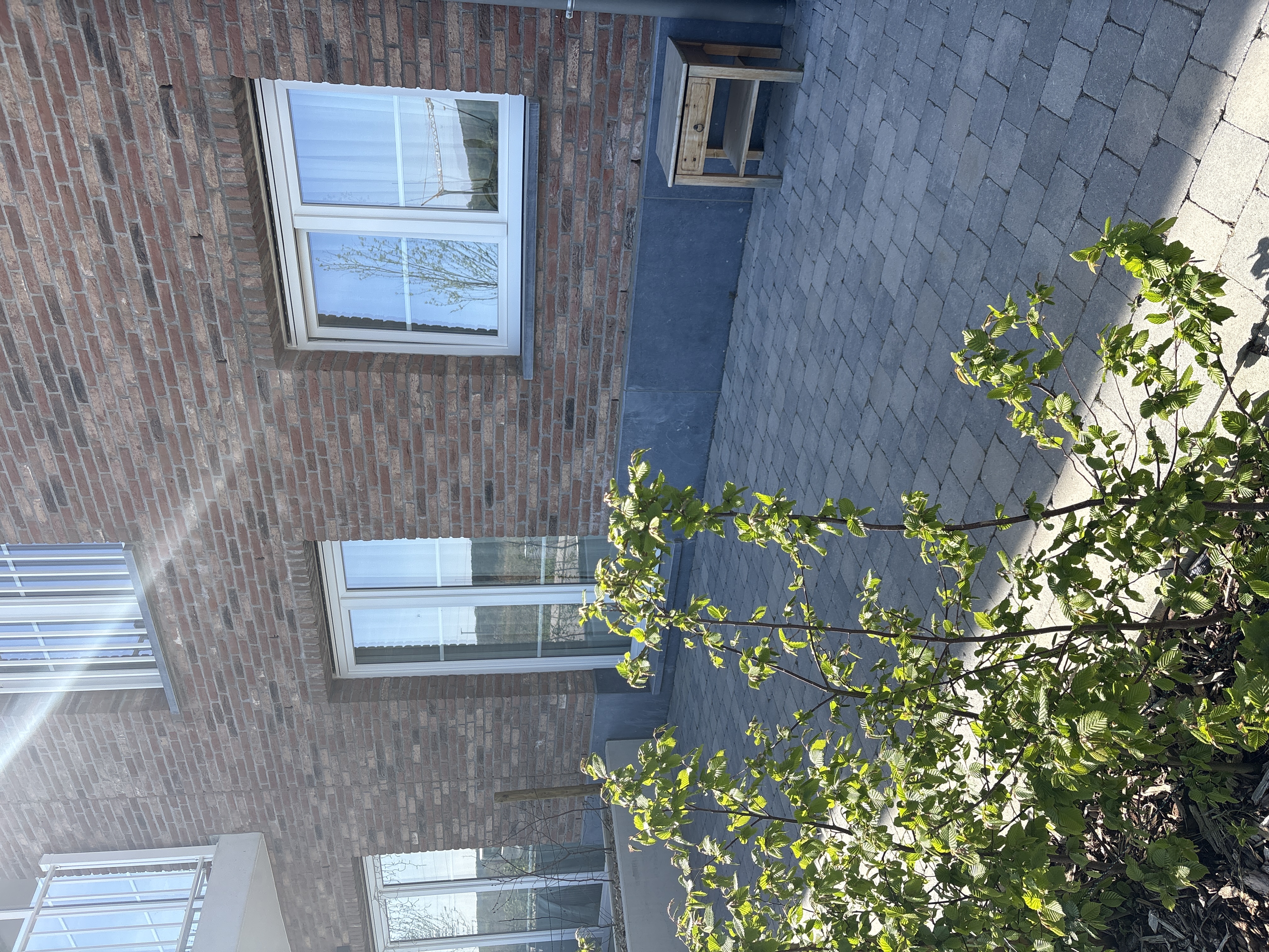 image-22