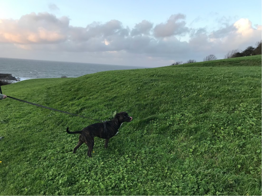 image-5