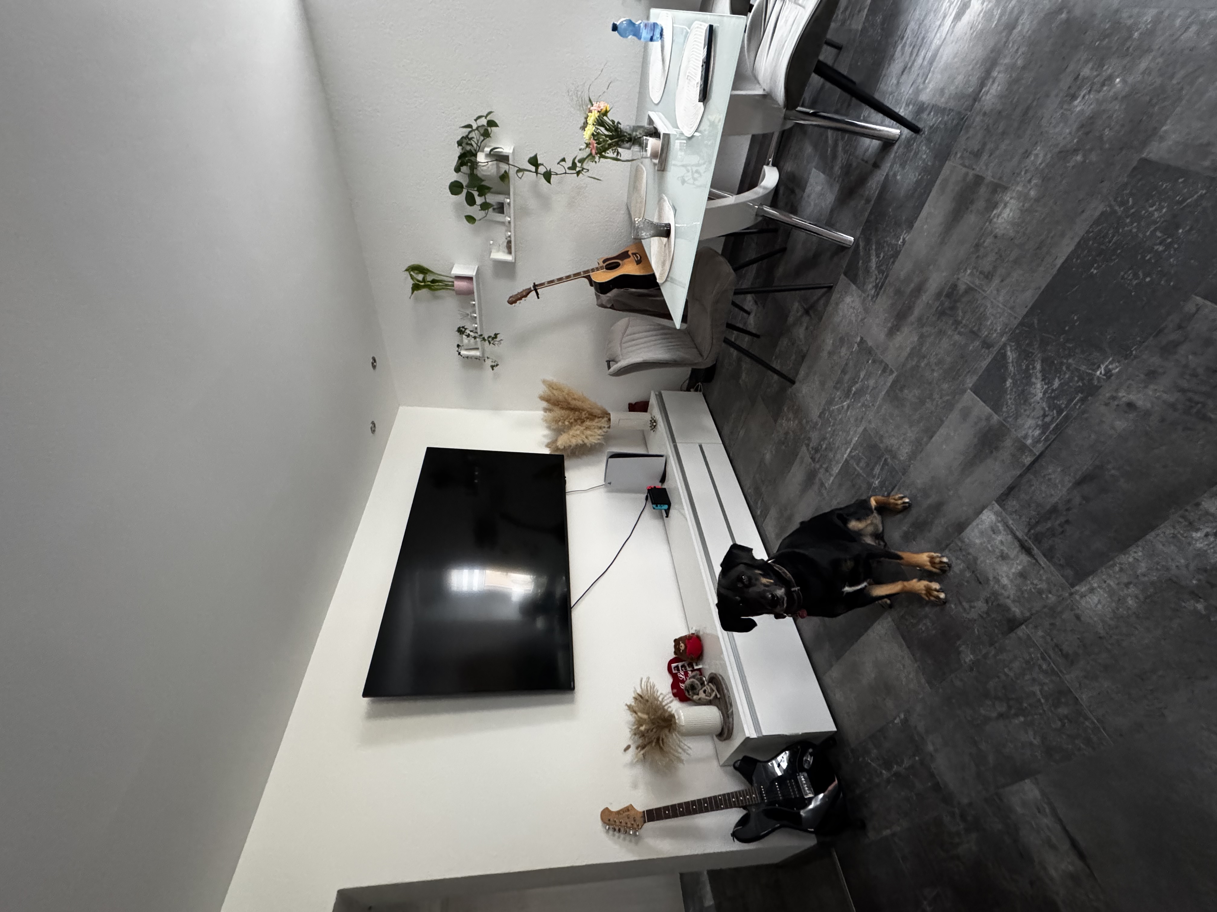 image-19