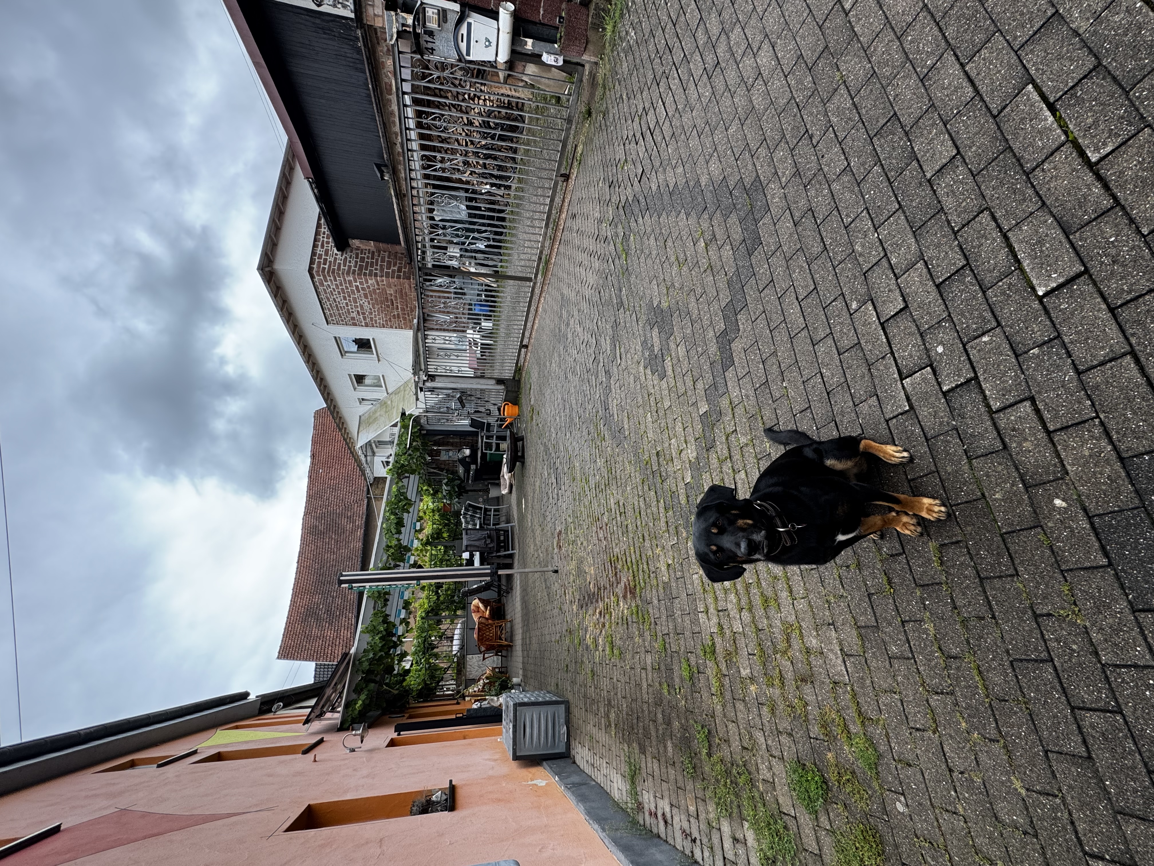 image-22
