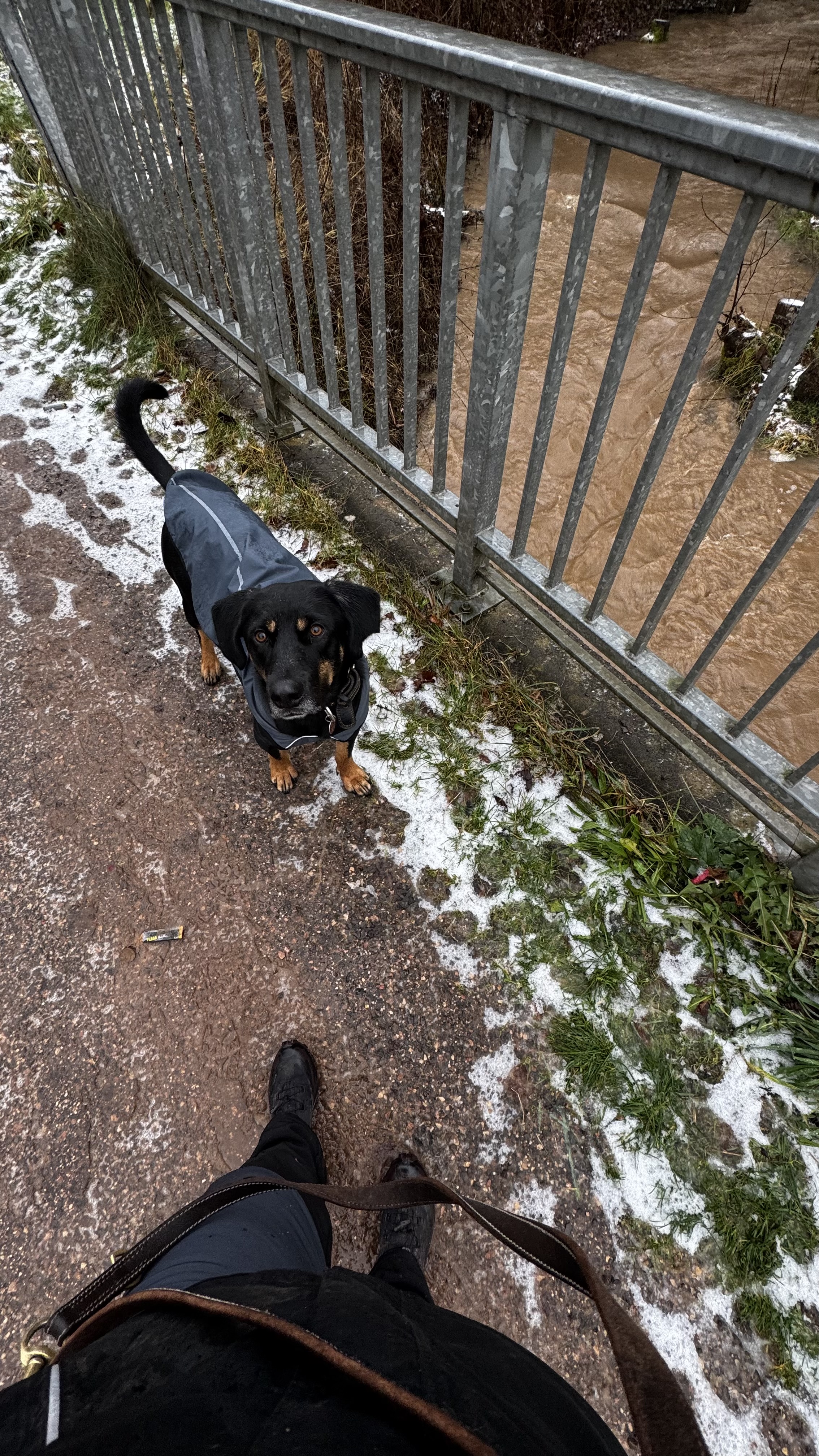 image-9