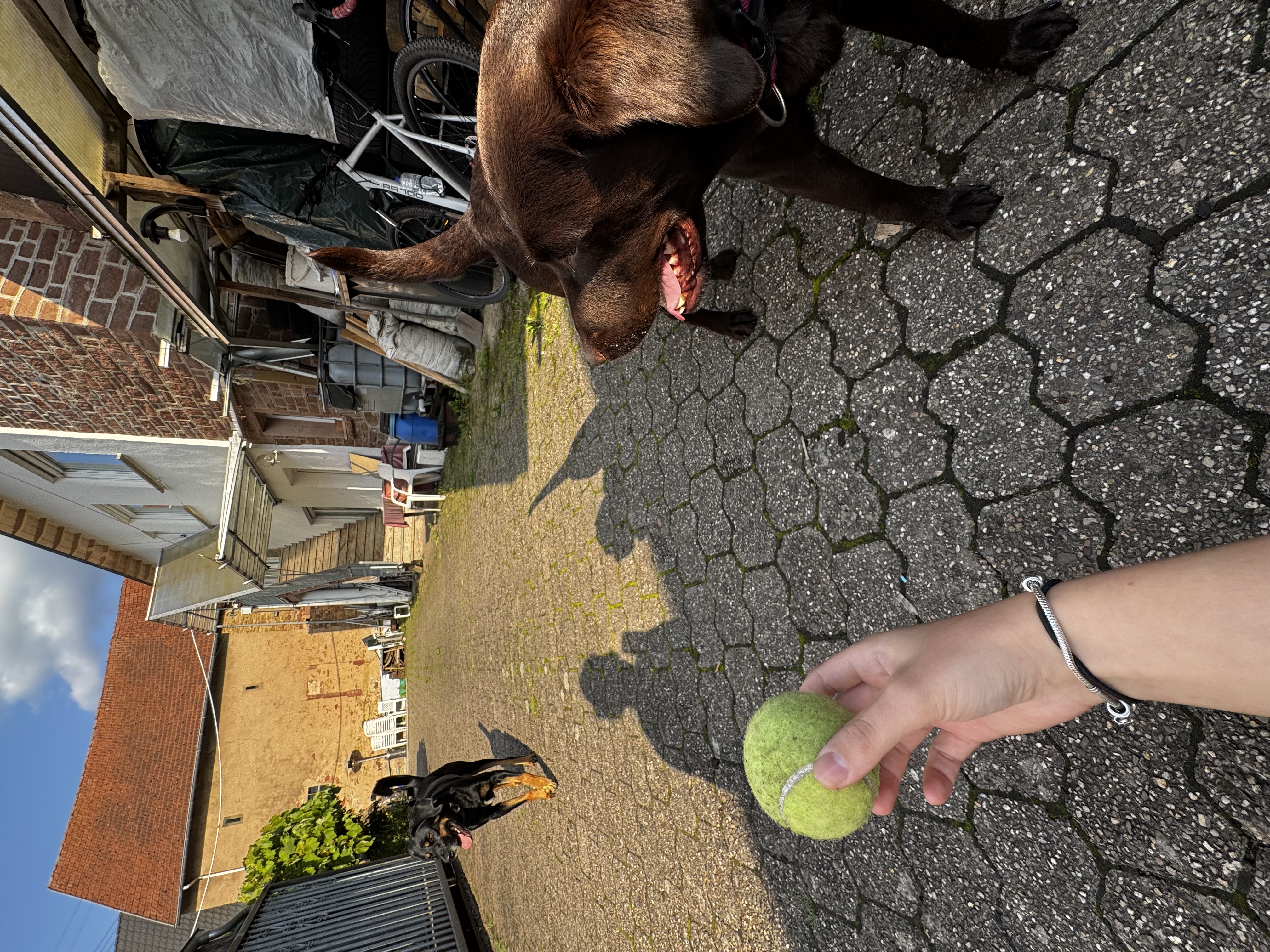 image-23