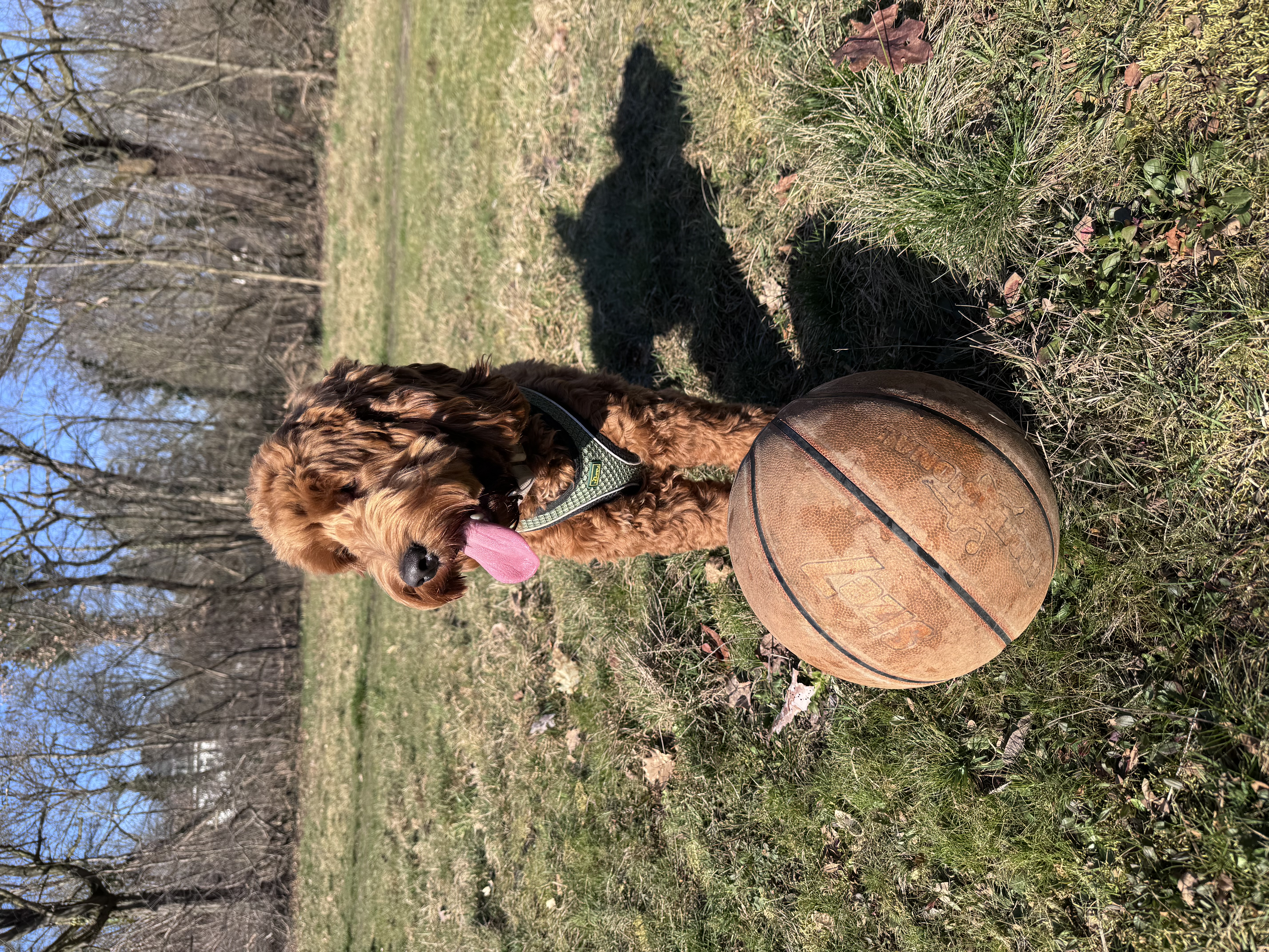 image-6